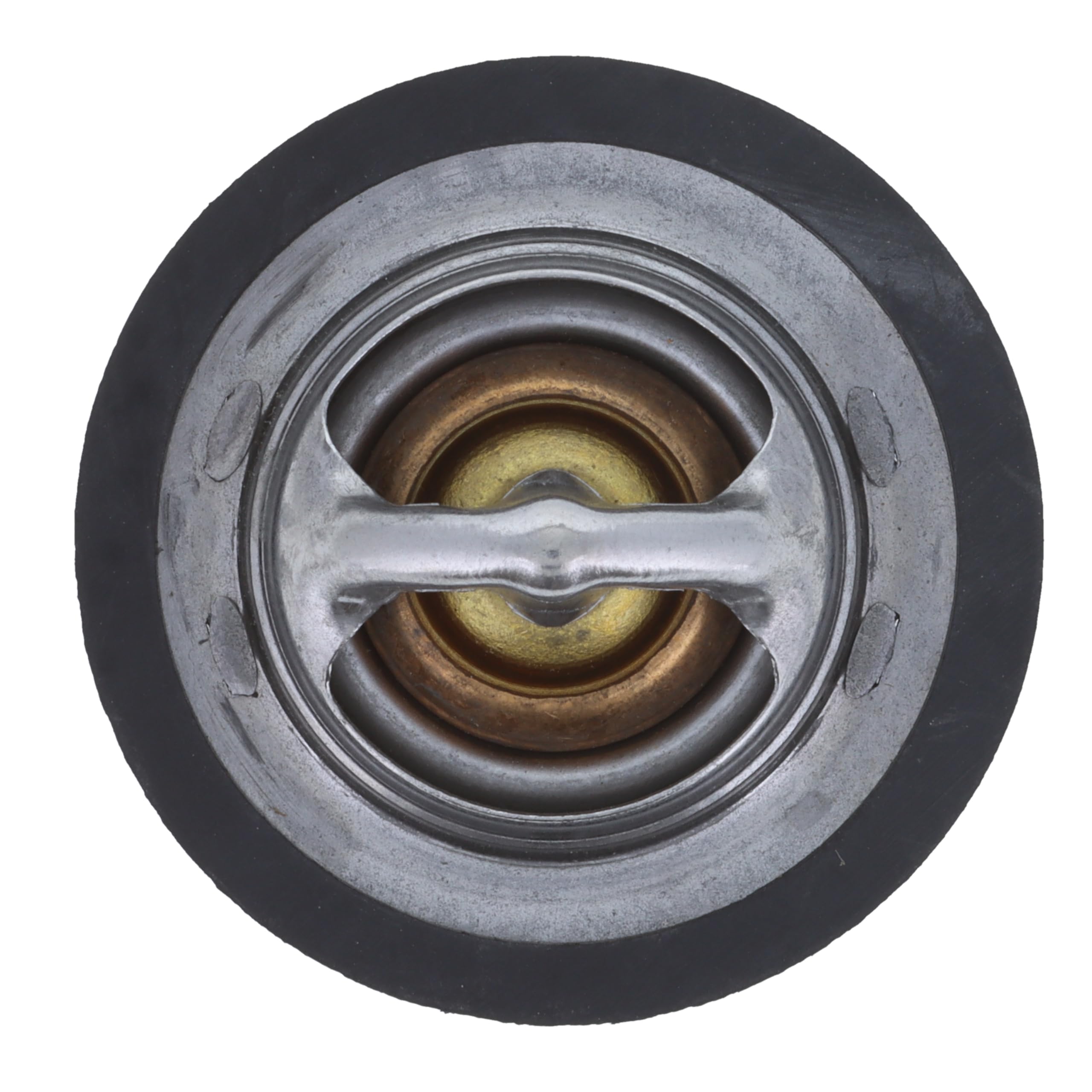 Amazon.com: MotoRad OE Type Thermostat (13899), Stainless Steel