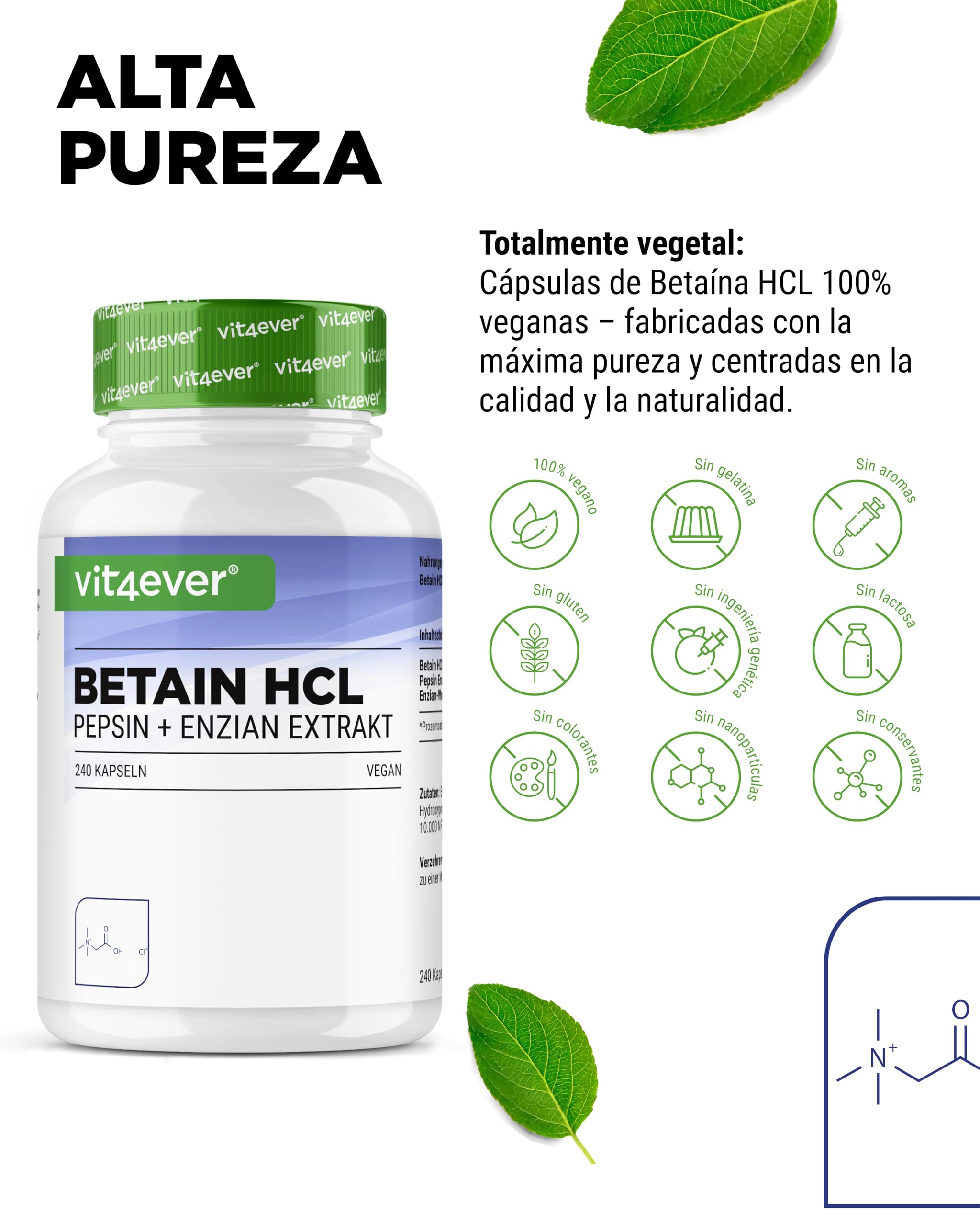 Betain HCL - 240 cápsulas con 650 mg Betaína HCL - Premium: Con pepsina y genciana amarga - Enzimas digestivas de amplio espectro - Alta dosis - Vegano