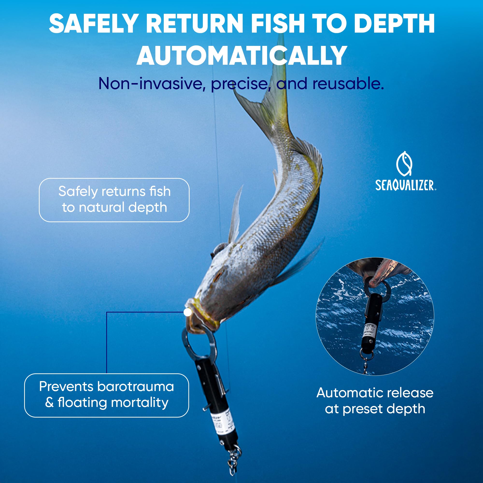 fishさまの専用品です Amazon.co.jp: SeaQualizer 魚降下装置 – 釣り用の3段階リリース