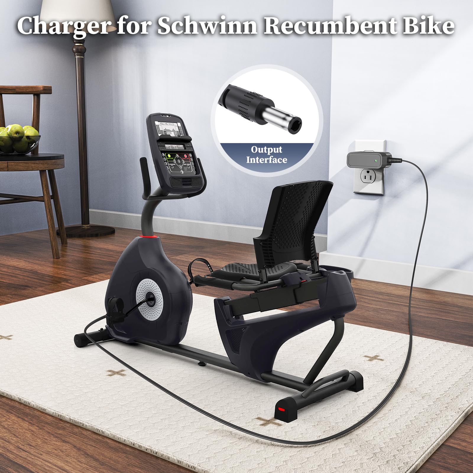 Amazon.com: 9V Charger for Schwinn A10 A20 A40 120 122 125 130 150