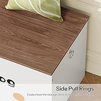 Vista 8 de HOOBRO Caja de juguetes, baúl de juguetes con 2 bisagras de seguridad, banco de almacenamiento de 47.2 pulgadas, baúl de almacenamiento de madera