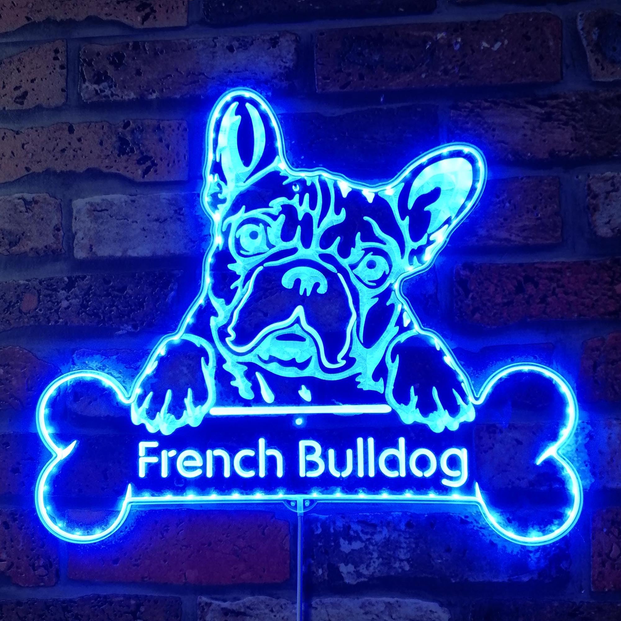 ADVPRO Name Personalize French Bulldog Dog RGB Dynamic Glam LED Sign - Cut-to-Edge Shape - Smart 3D Wall Decoration - Multicolor Dynamic Lighting - st06s66-fnd-p0070-tm