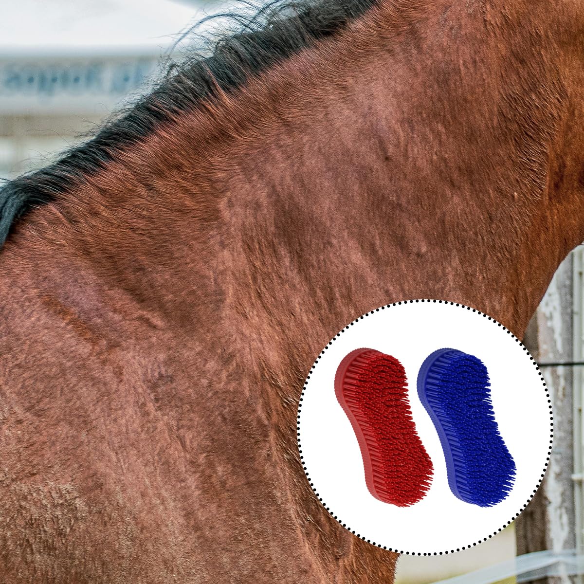 Thyonta 2PCS Horse Comb Equestrian Care Massage Brush Portable and Durable Horse Care Brush In Figure for Laundry Jeans Brush Kitchen Cleaning - Image 4