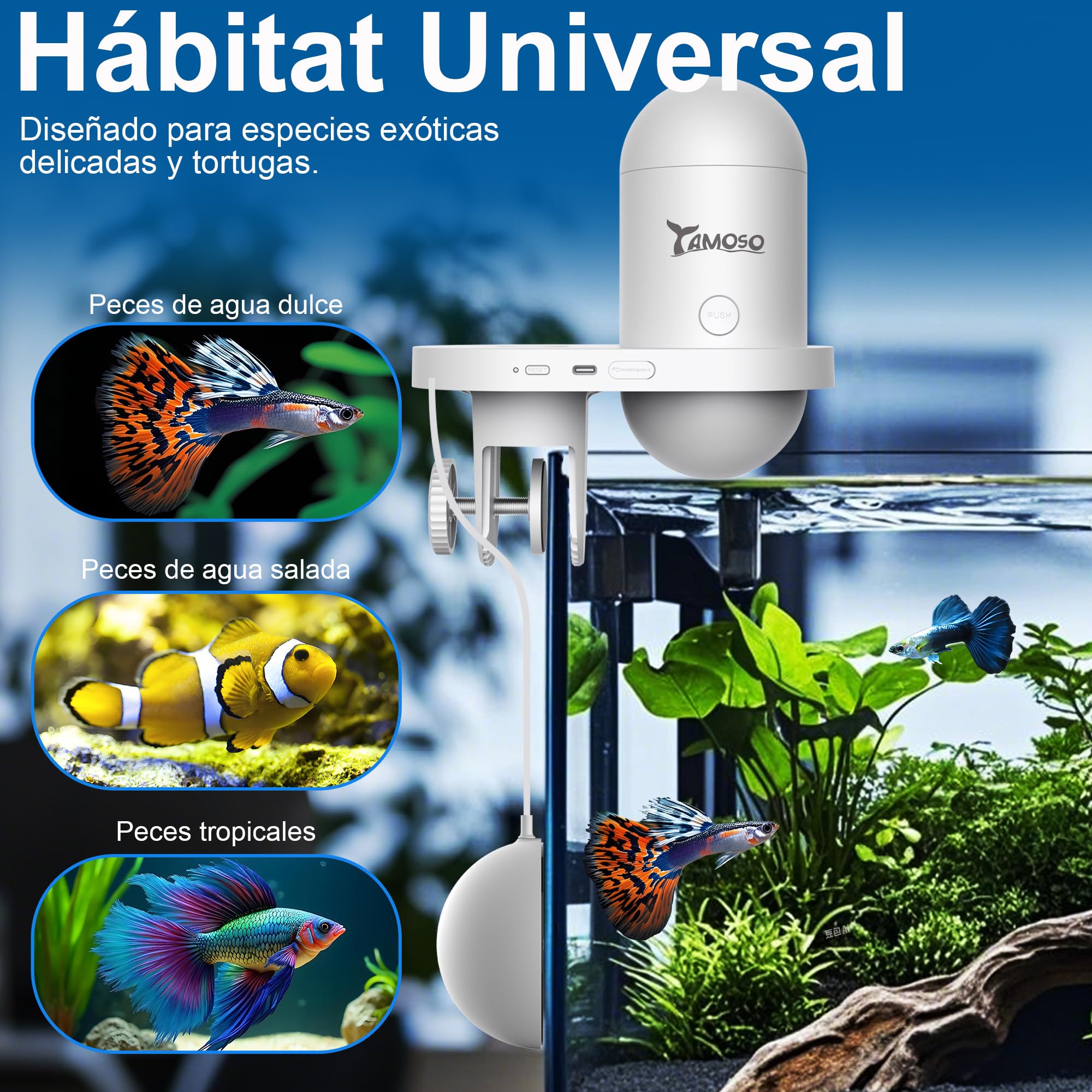 Comedero Automático Peces WiFi Smart, Cámara 2.5K, App 2.4/5G, Dosis 0,2g Cuidado Vacaciones, Depósito 230ML Anti-Vaho, Temporizador, Notificación, Acuario Marino, Agua Dulce y Tortugas