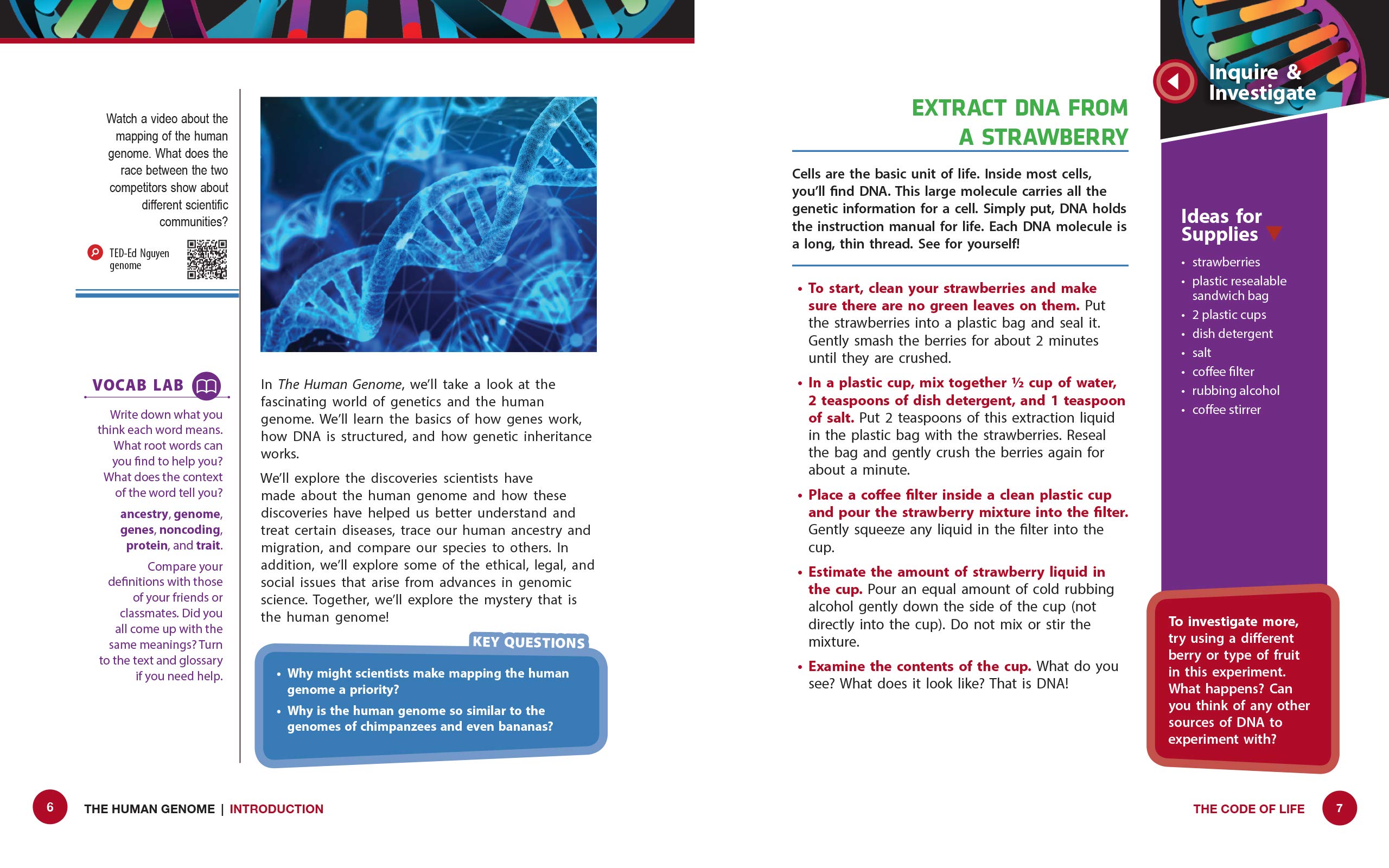 The Human Genome: Mapping the Blueprint of Human Life (Inquire & Investigate)