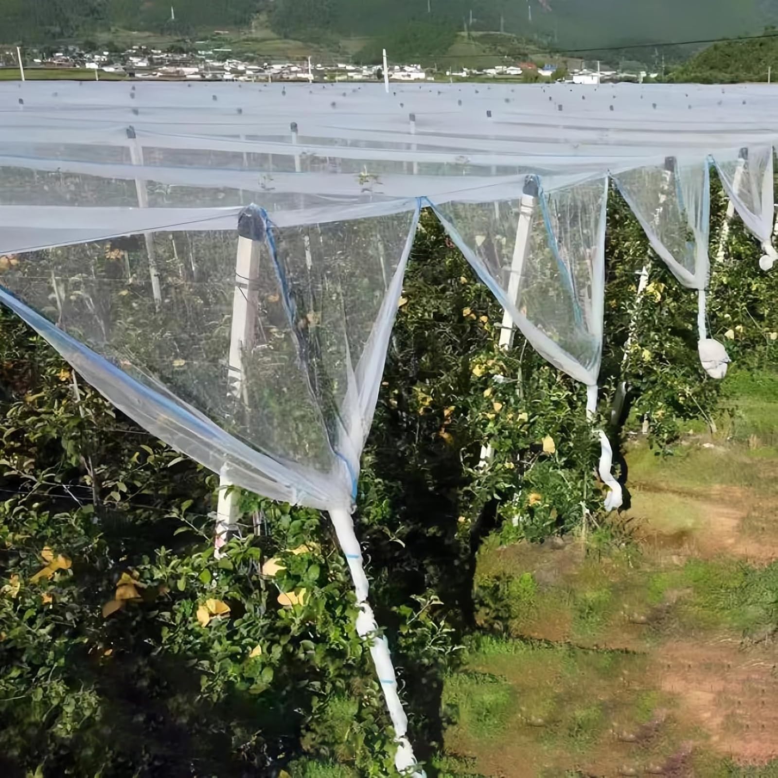Resistente allo Strappo Raggi UV Telo Antigrandine,Rete Anti Uccelli Protettive da Giardino,Rete Antigrandine per Orto,Protezione UV,per Giardini,Serras Coltivazioni