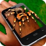 Spider On Hand Fun Joke