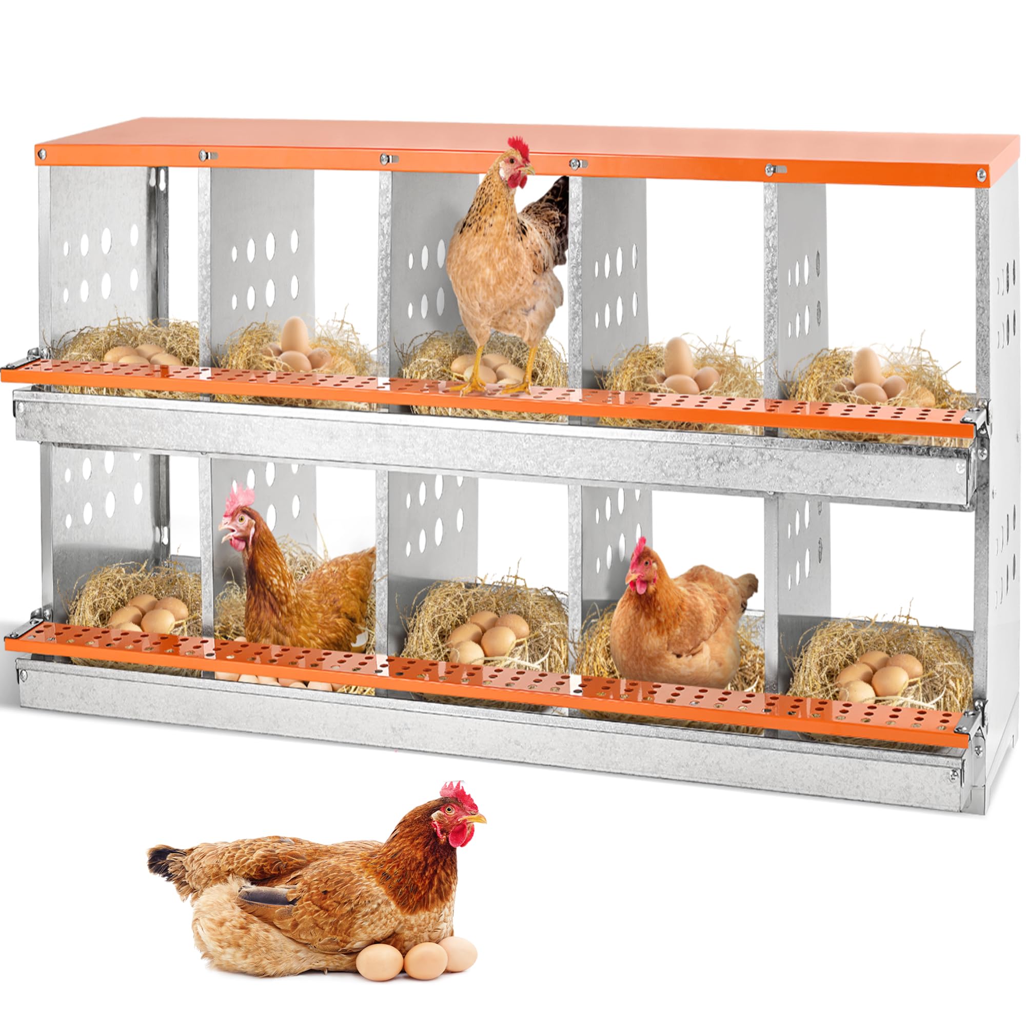 Chicken Nesting Box, 10 Compartment Nesting Boxes for Chicken Laying Eggs, Metal Chicken Laying Boxes with Roll Away Egg Collection, Heavy Duty Chicken Coop Nest Box