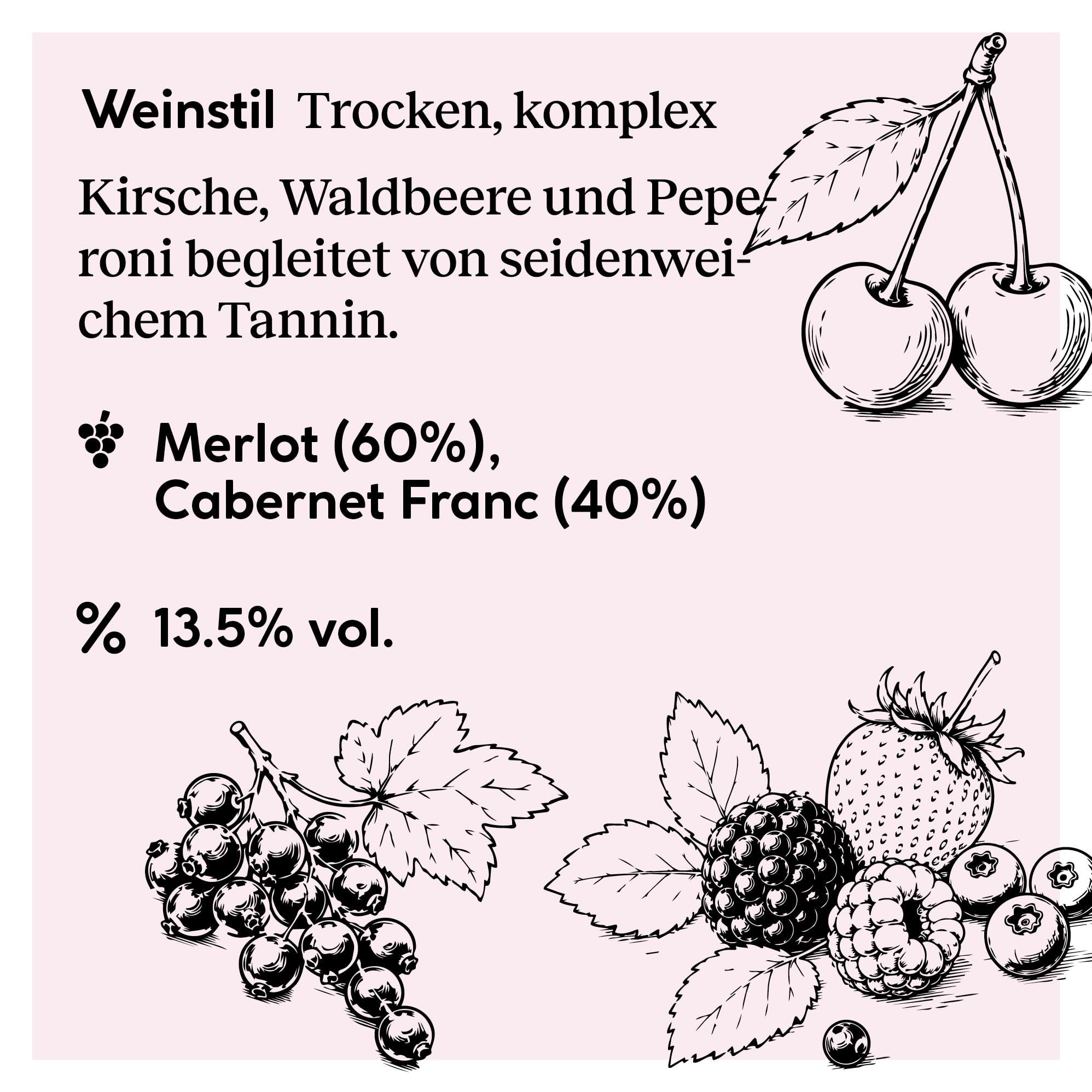DELINAT Sainte-Foy 2021 – Französischer Bio-Rotwein trocken aus Bordeaux | Veganer Cuvée aus Merlot und Cabernet Franc, im Barrique ausgebaut, komplex & säurearm 6 x 0,75l