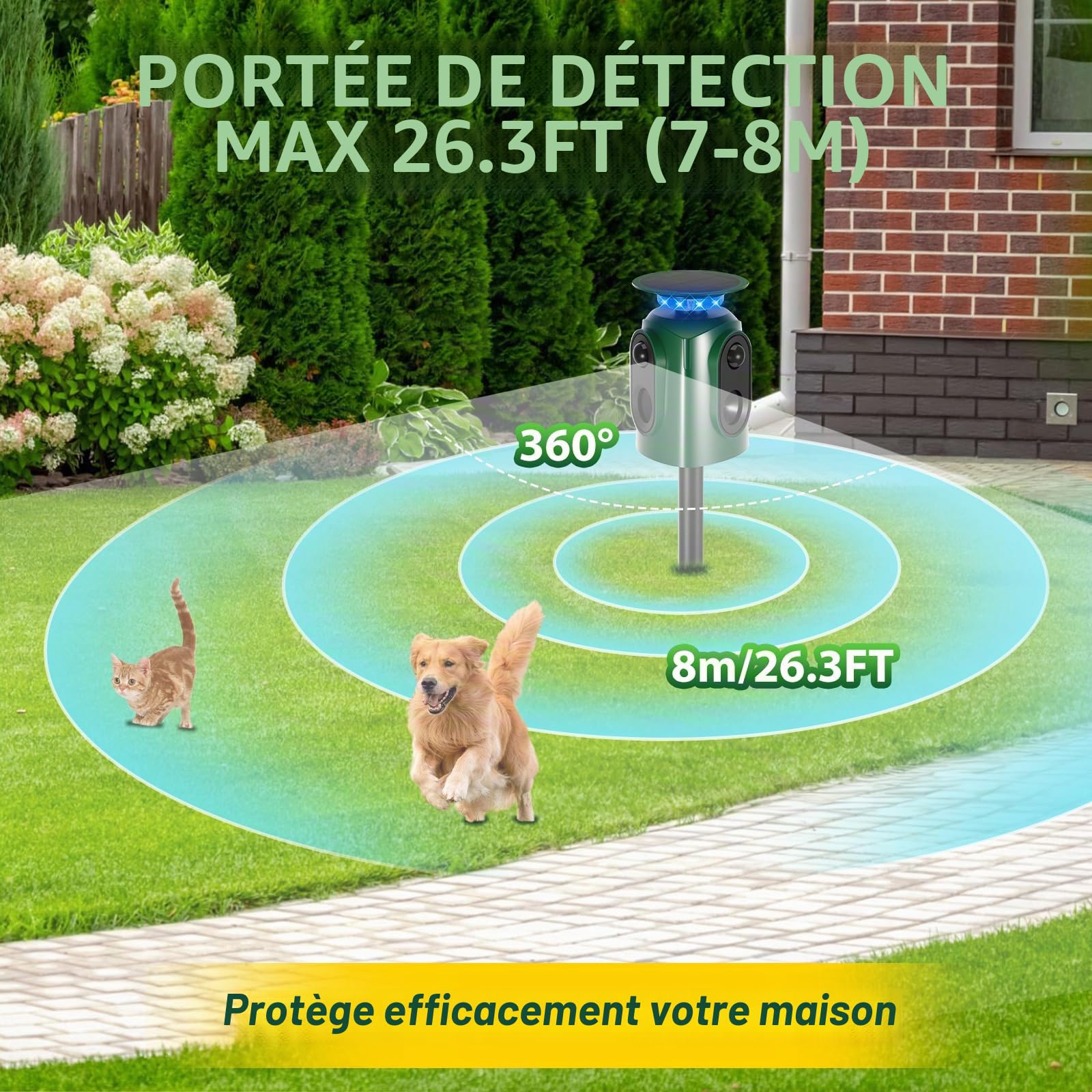 Répulsif pour chats à ultrasons solaire, répulsif pour chats à 360° pour le jardin, répulsif à ultrasons pour animaux avec détecteur de mouvement et voyant lumineux, étanche IP65, portée de 10 m