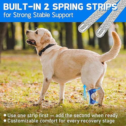 Miniatura 9 de Soporte para piernas de perro, soporte de pierna trasera canina, envoltura de compresión de articulación de cornejo para aliviar el dolor