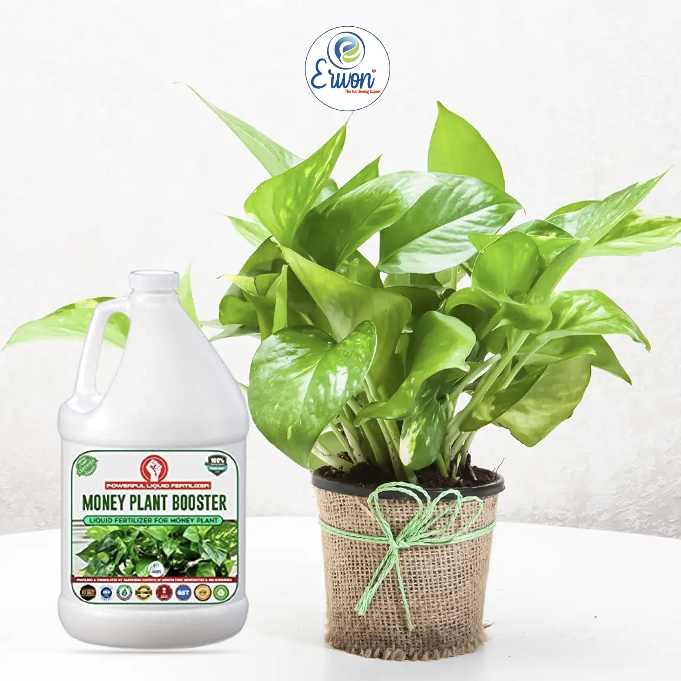 Erwon Money Plant Booster Premium Essential Powerful Liquid Fertilizer Best  | Desertcart BAHRAIN