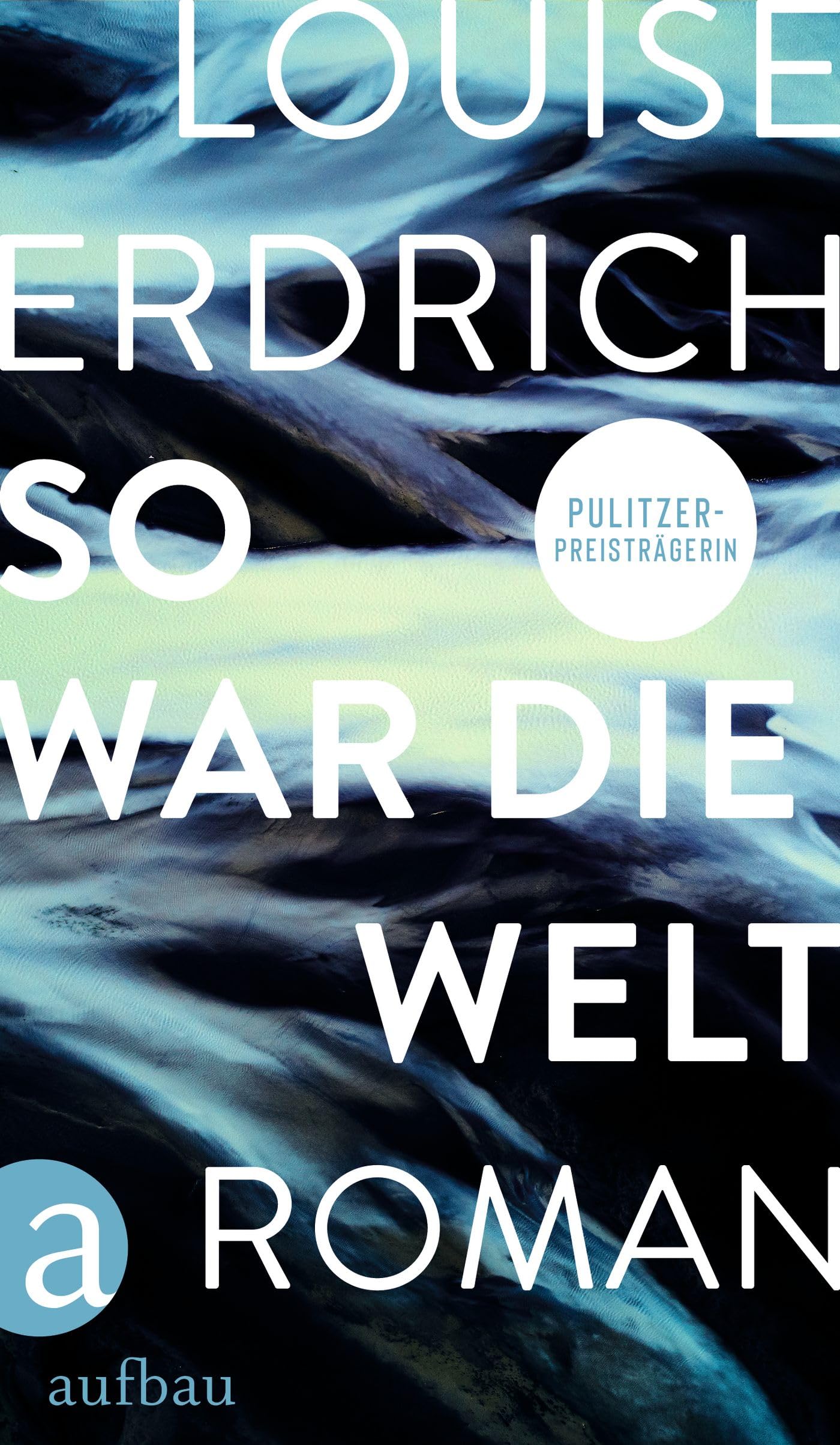 So war die Welt: Roman