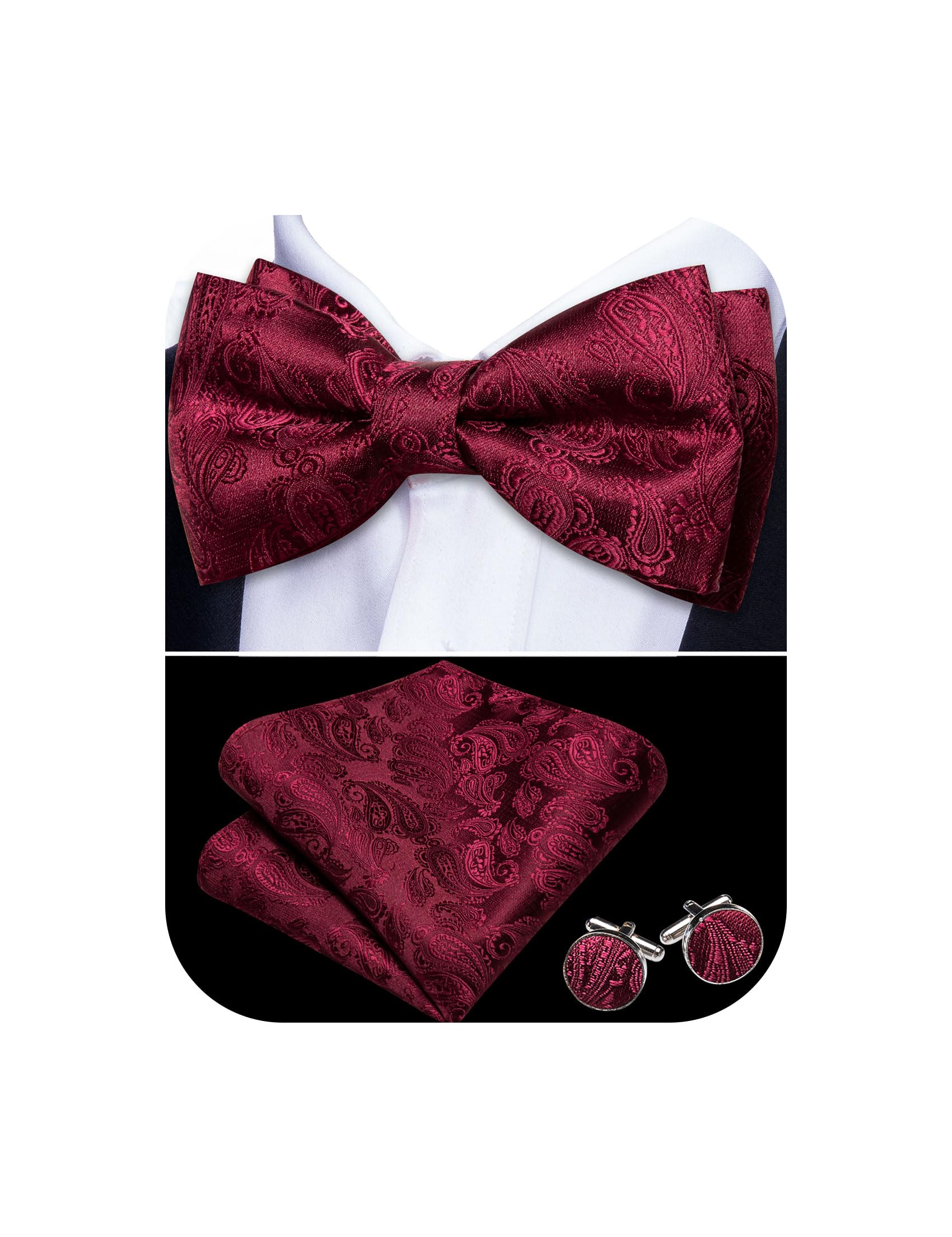 Barry.Wang Paisley Striped Bow Tie for Men Silk Pre-Tied Bowtie Set