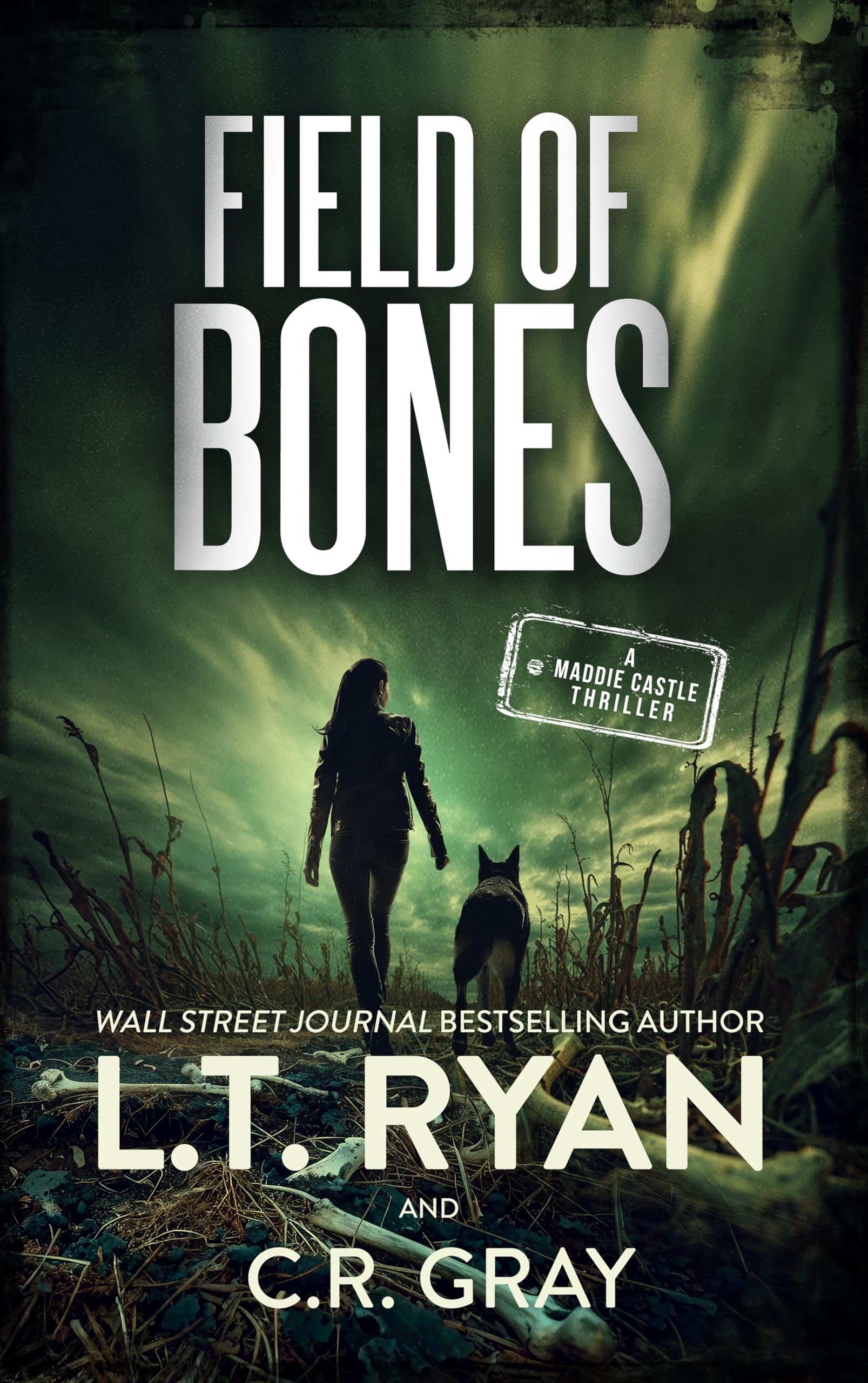 Field of Bones (Maddie Castle Book 6)