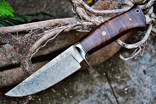 BIGCAT ROAR Cuchillo de caza de Damasco hecho a mano, cuchillo de caza de hoja fija Bushcraft con funda y mango de madera de nogal, cuchillo EDC de