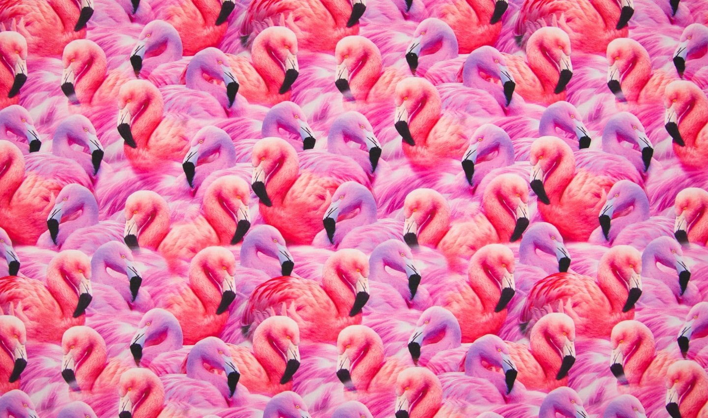 Tissu de coton luxe flamingo imprimé numérique de 500cmx150cm
