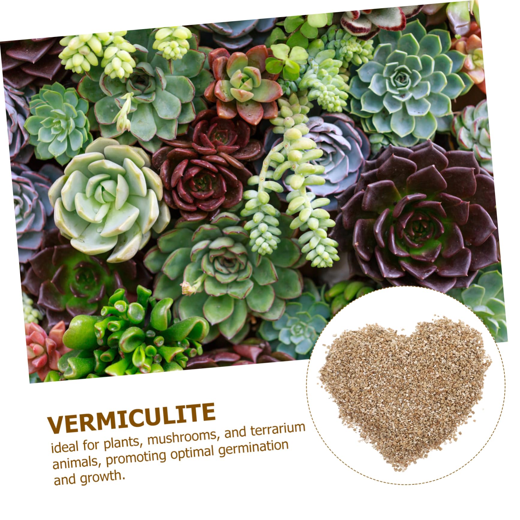 Hemobllo Vermiculite Horticole Fine 3l pour Culture de Champignons et Plantes en Serrage Jardin Aération Optimale Ph Neutre Substrat de Croissance Polyvalent