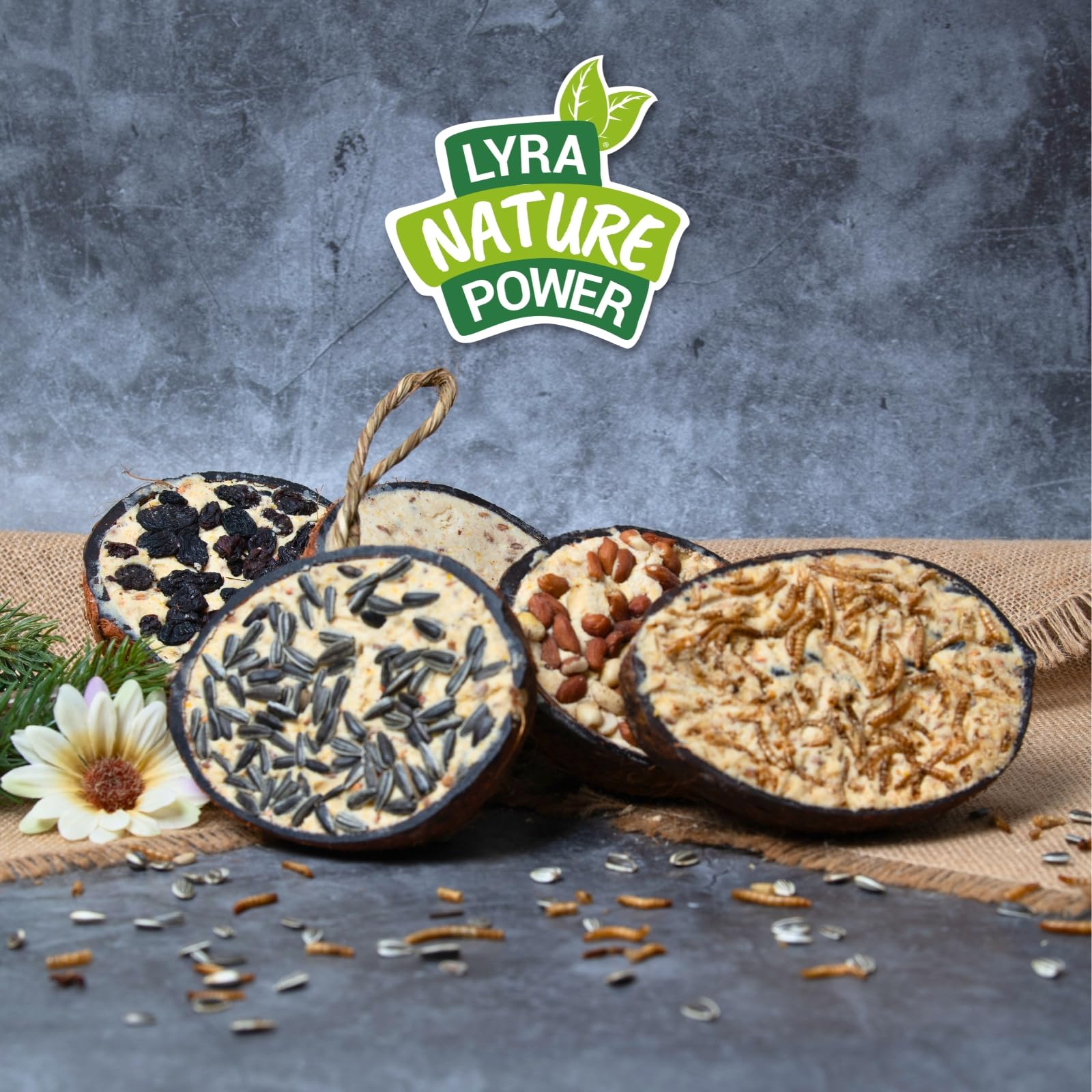Lyra Pet® 2 x 10 Halbe Kokosnüsse gefüllt - Vogelfutter für Wildvögel | Kokosnuss mit verschiedenen Toppings - Wildvogelfutter Ganzjährig - Vitaminhaltig& Proteinreich - Fettfutter wie Meisenknödel