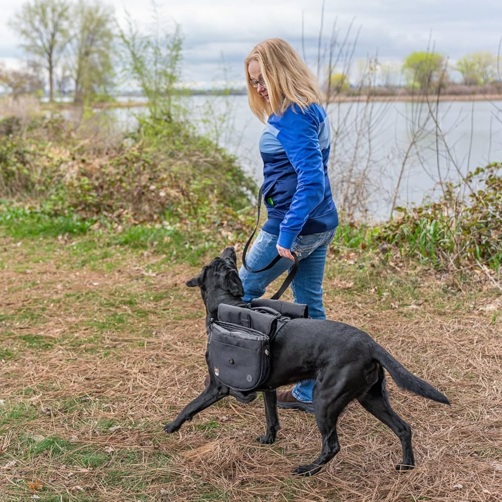 Backpack For Dog Dog Backpack PetAmi Saddle Bag For Medium Large Dogs Saddlebag Dogs Wear Harness Hiking Reflective Safety Side Pockets Vest Pack Camping Travel Orange La Dog Bookbag Dog Backpack Harness