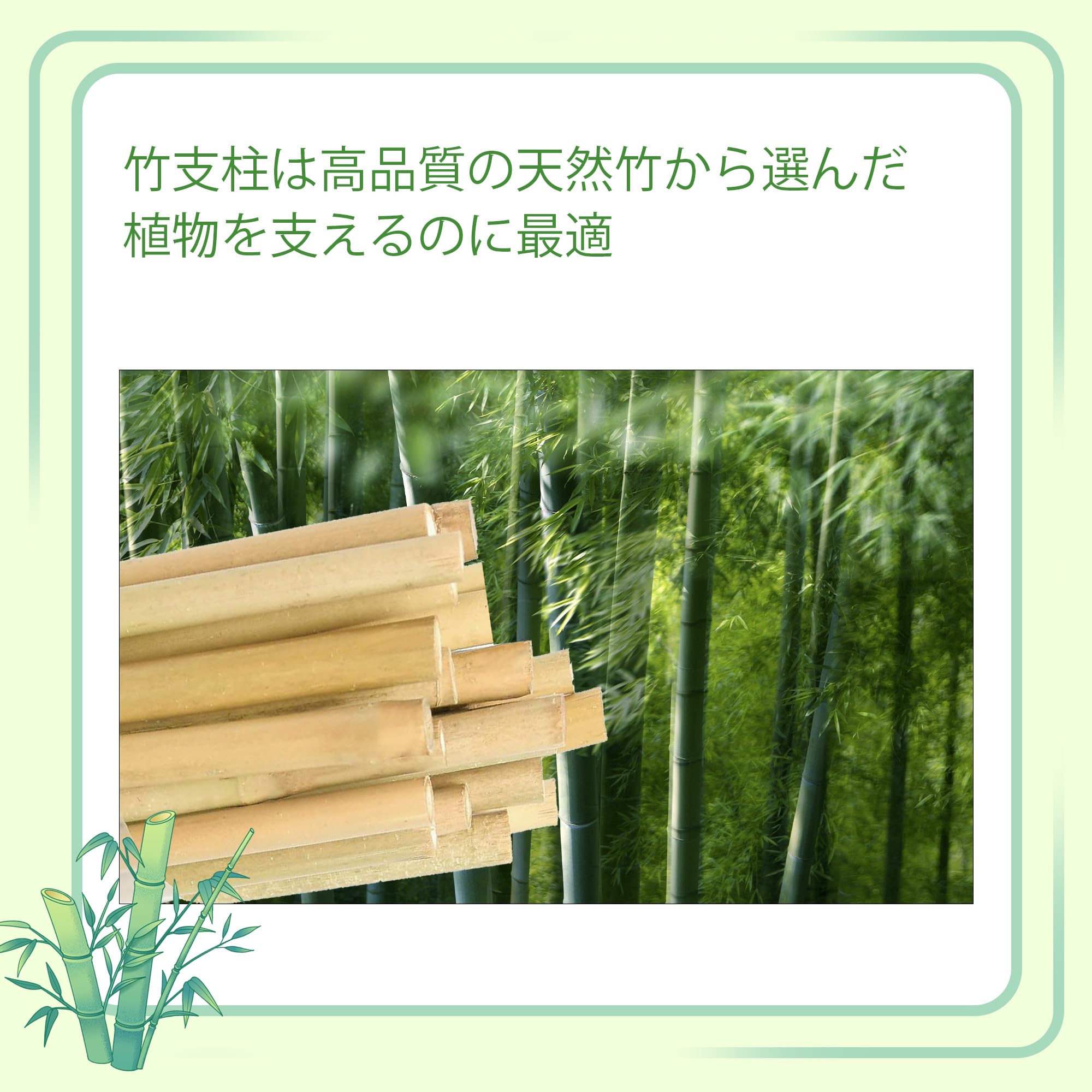 Amazon | 園芸 支柱120cm、天然竹 支柱 25本入り、篠竹 しの竹 家庭