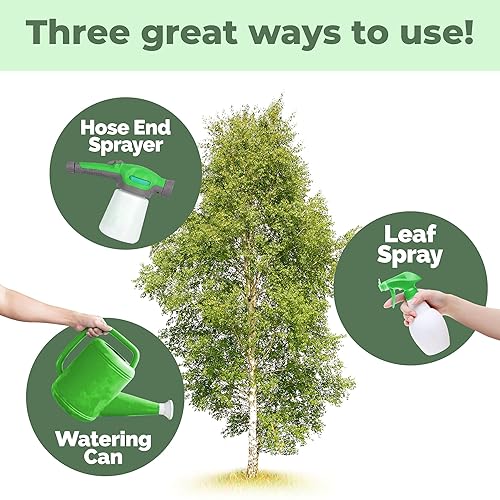 Miniatura 4 de Fertilizante de abedul para abedules, funciona muy bien para abedules de río, abedul de papel y abedul plateado, fertilizante líquido por TPS Plant