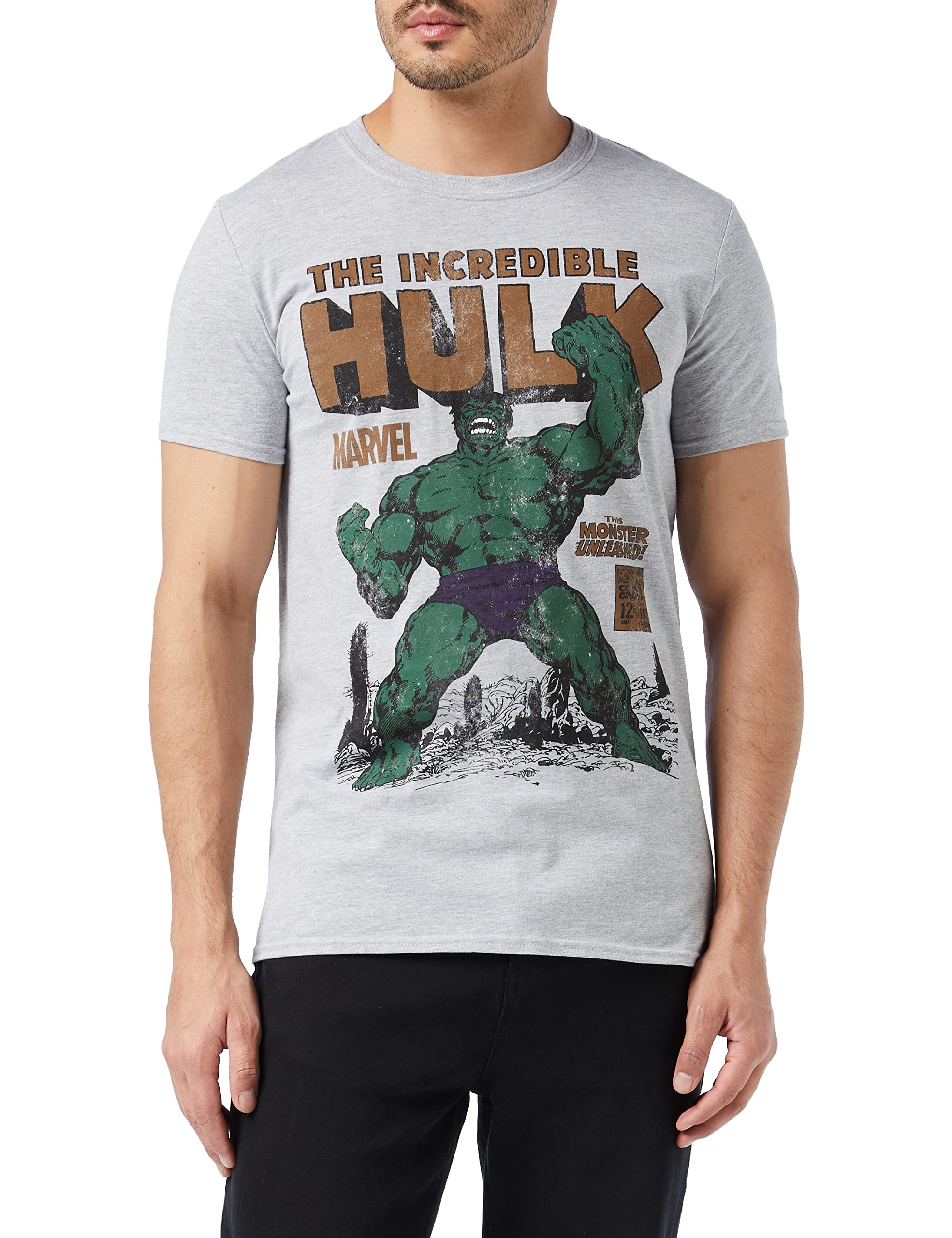 Marvel Men's HULK RAGE T - Shirt