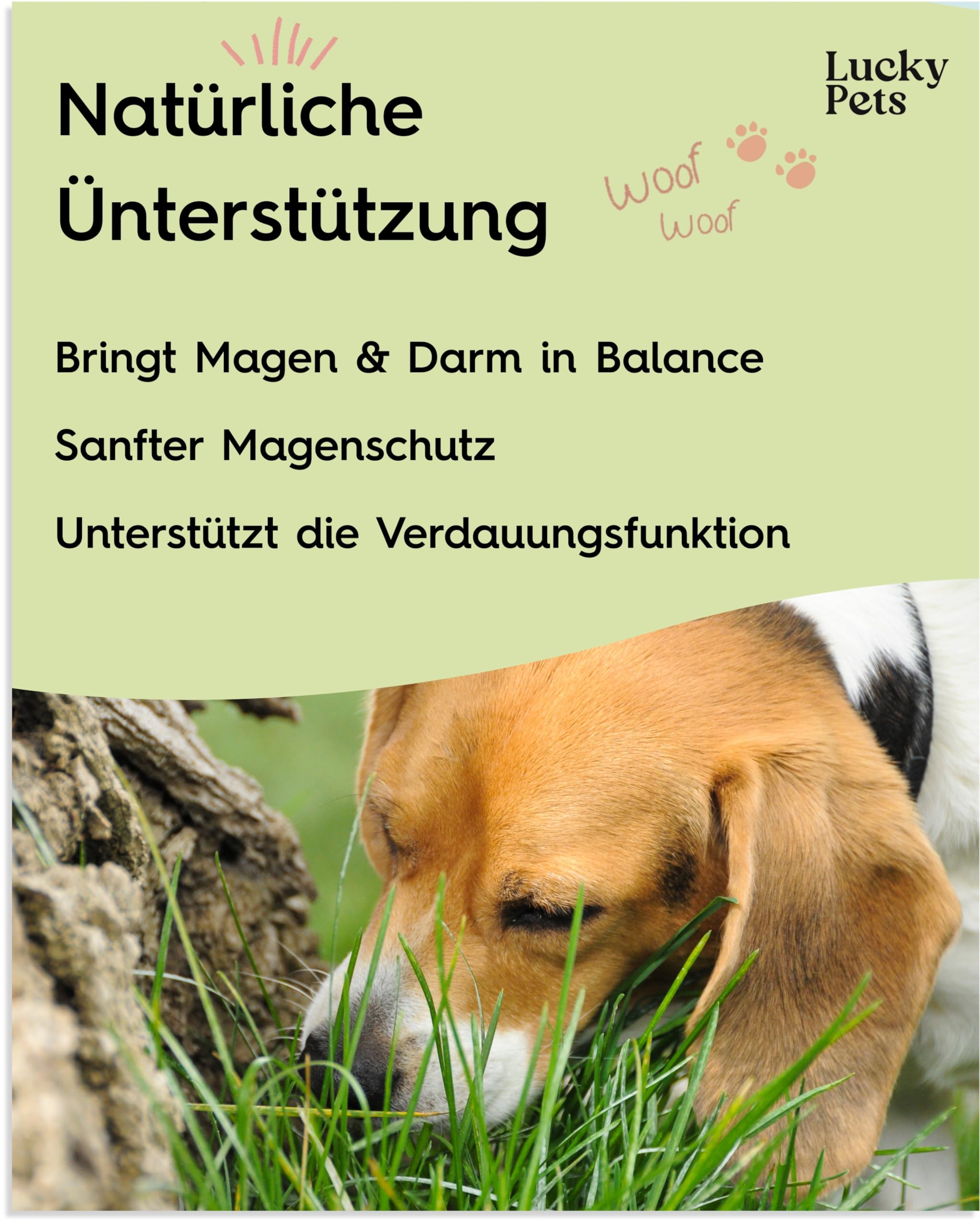 Lucky Pets Premium Magenpulver 275g – Ulmenrinde für Hunde – Ohne Aufkochen sofort verzehrfertig – Hund Darmflora aufbauen – Made in Germany – Slippery Elm Bark