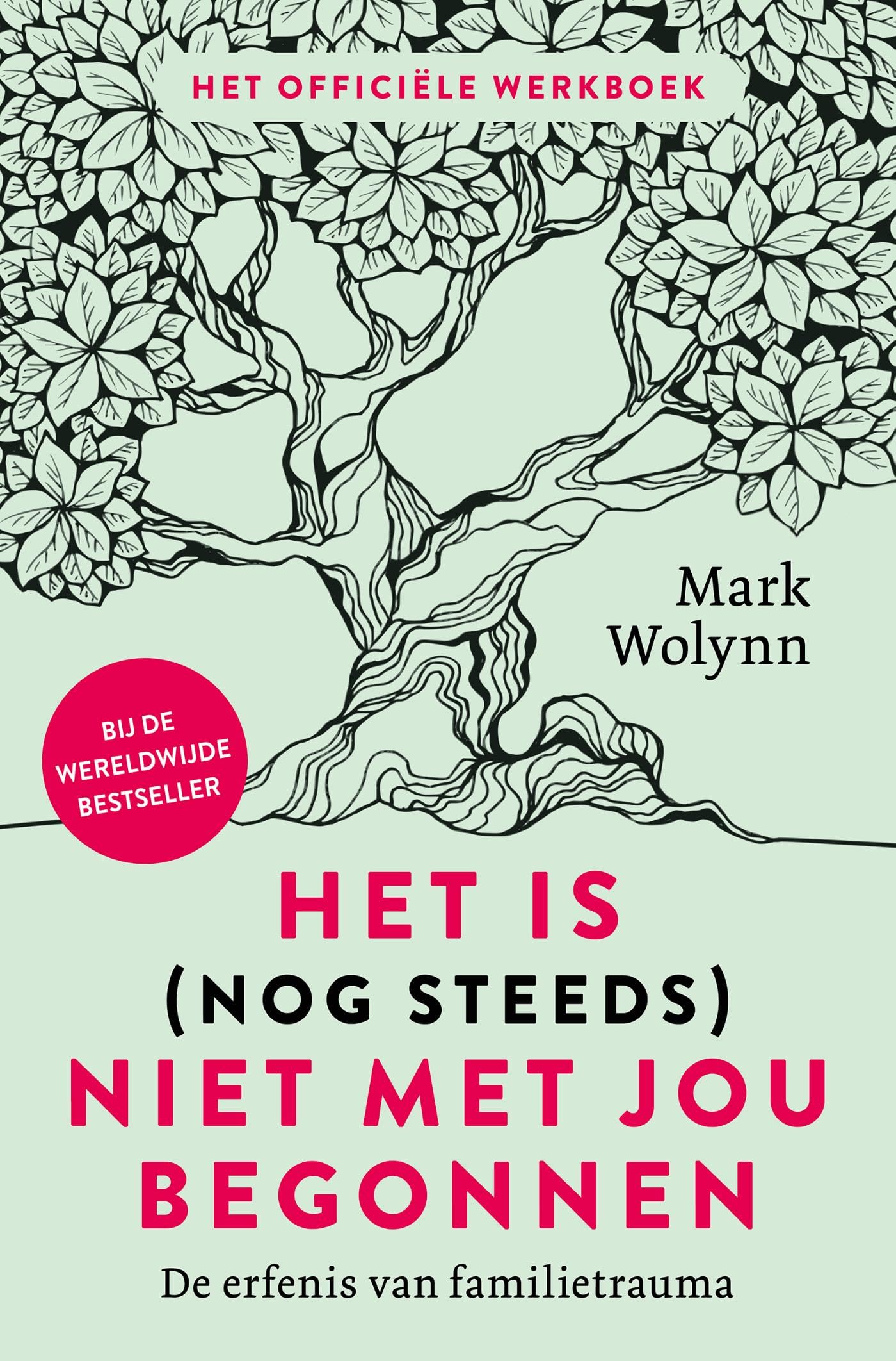 Het is (nog steeds) niet met jou begonnen: de erfenis van familietrauma : het officiële werkboek
