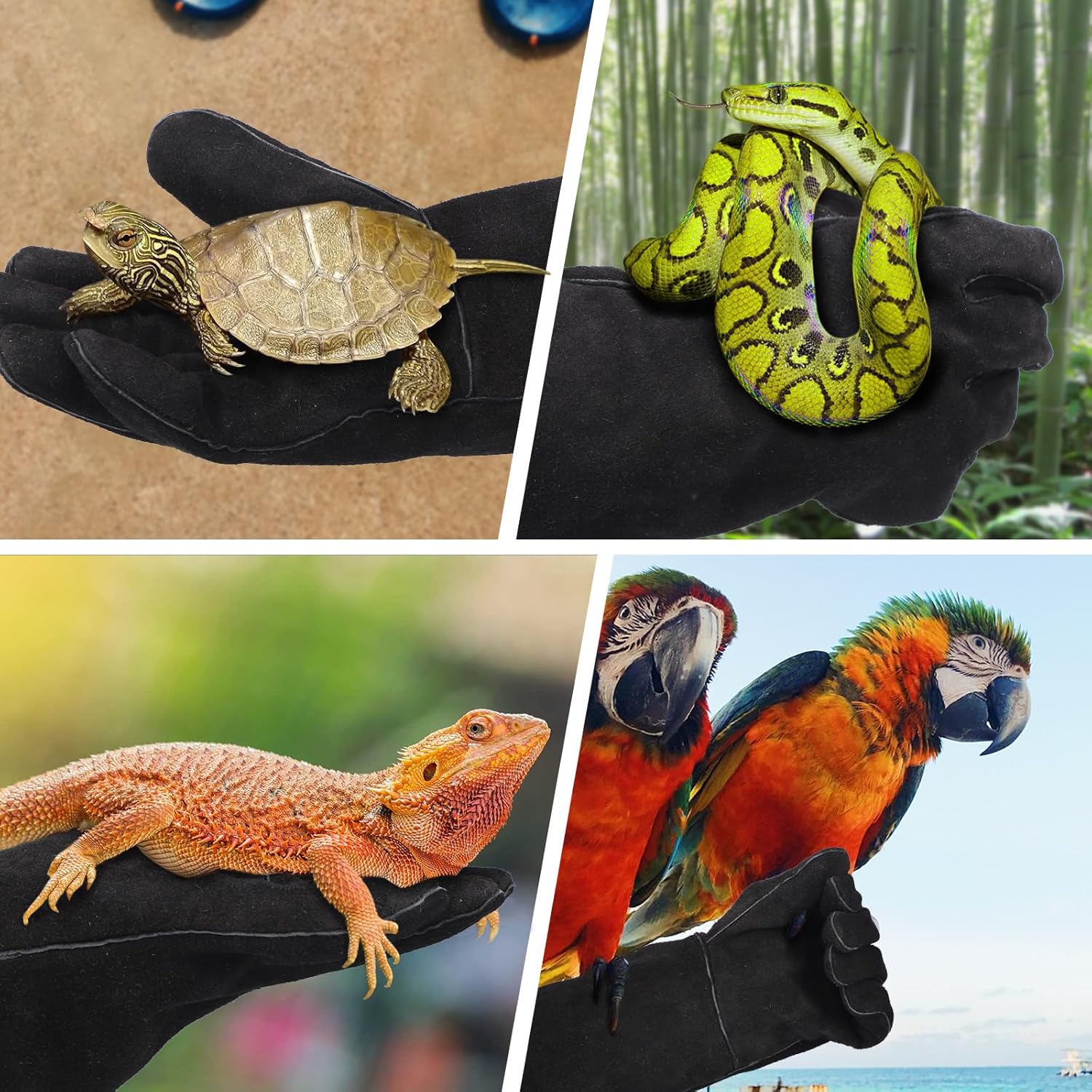 Animal Handling Gloves Bite Proof, Thickened Leather Cat Gloves for Scratching, Falconry, Welding, 23.6 inch Black - Image 7