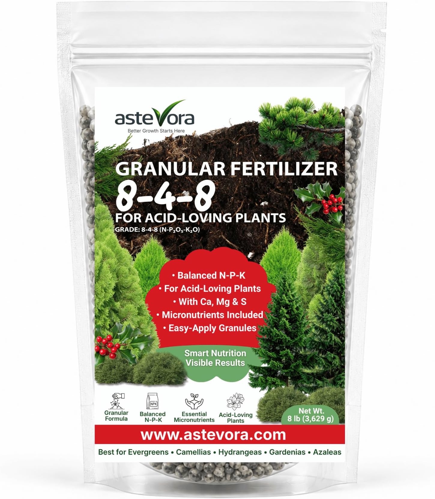 ASTEVORA Evergreen Fertilizer โ All-Purpose Granular Plant Food for Outdoor Trees and Shrubs, Azaleas, Magnolias, Pines & Arborvitae โ Slow-Release Formula (4 quarts)
