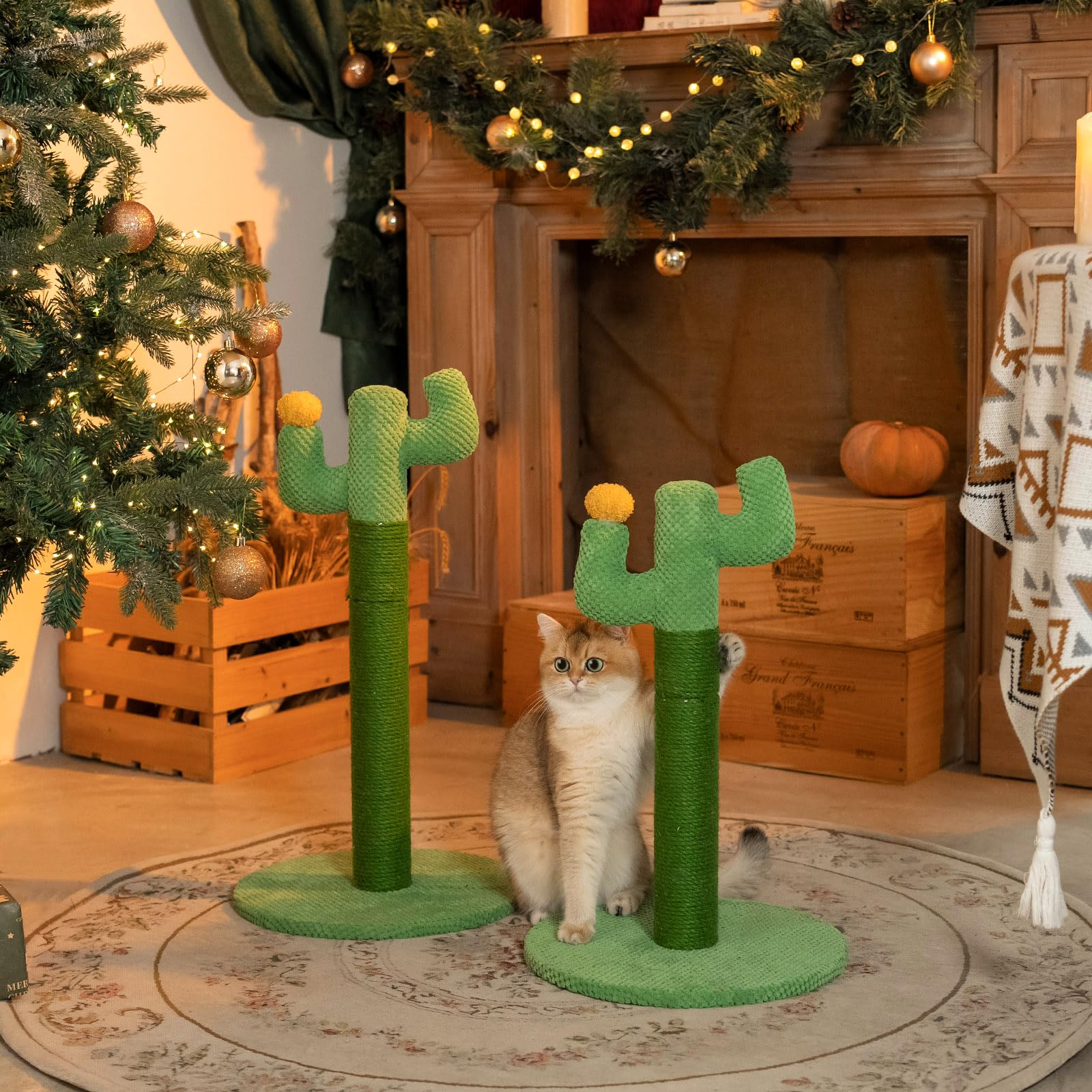 Happy & Polly Tiragraffi per Gatti Cactus 50 cm - Resistente All'usura in Corda di Juta Naturale - per Gatti Piccoli e Adulti da Interno - Verde
