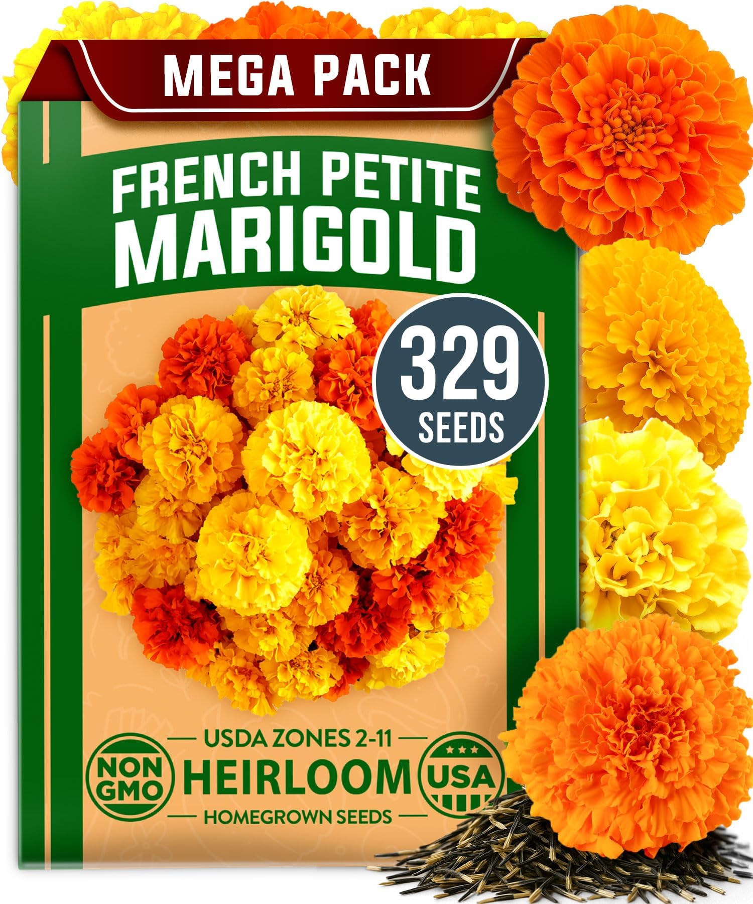HOME GROWN Petite French Marigold Seeds 329+ Flower Seeds for Planting Outdoors Non GMO Easy to Grow Companion Plant & Quick Blooming Pollinator Heirloom Wildflower Seed (Tagetes patula)