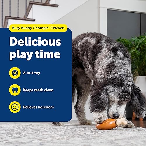 Miniatura 9 de PetSafe Busy Buddy Chompin' - Juguetes de pollo para perros, juguete masticable con anillo de golosinas, goma sin BPA, perfumado de pollo,