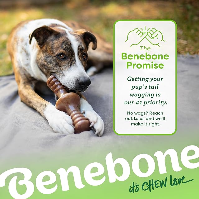 Foto 6 de 6 de Benebone Zaggler - Juguete masticable Indestructible para Perros masticadores agresivos, rompe…