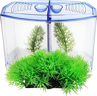 Mipcase Tanque De Peixes Betta: Kit Inicial De Tanque De Peixes Pequeno 2 Peças Plantas De Aquário Artificial Tanque De Peixes De Plástico Autolimpante Decoração De Mesa Para