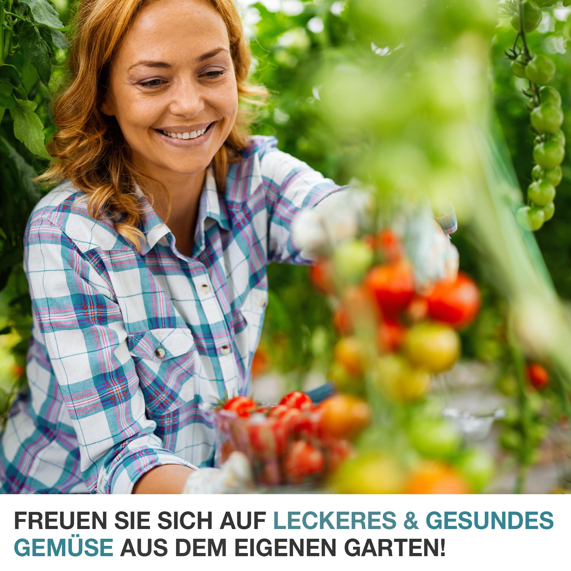 TOM Foliengewächshaus 1,6 m² – Folientunnel 140 g/m², Grün