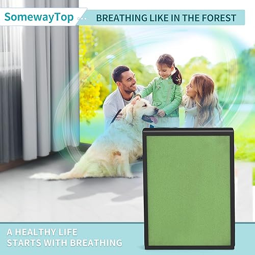 Miniatura 6 de HSP002 Filtro de repuesto compatible con filtros purificadores de aire HSP002 Smart True 2.0, filtración de etapa 4 en 1 H13 True HEPA limpiador de