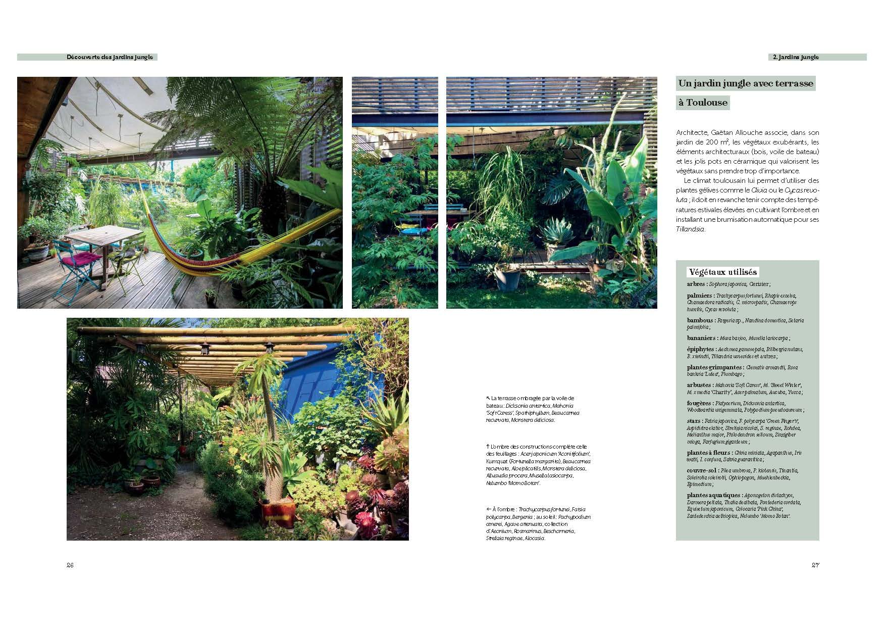 Créer un jardin jungle