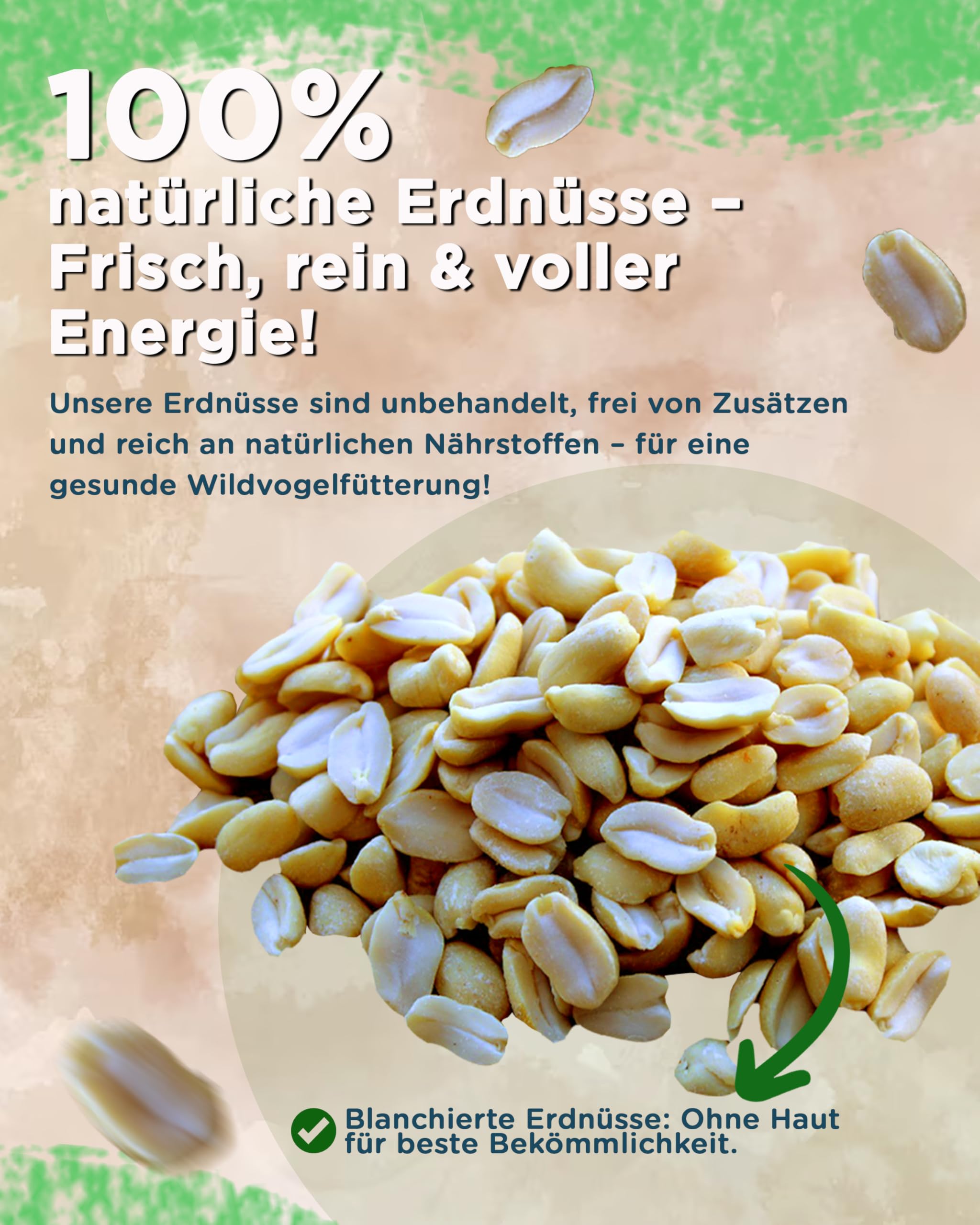 Futterbauer Erdnüsse blanchiert 10 kg, Weiße & schalenlose Erdnusskerne für Wildvögel & Eichhörnchen, Ambrosia kontrolliert, hochwertiges Vogelfutter