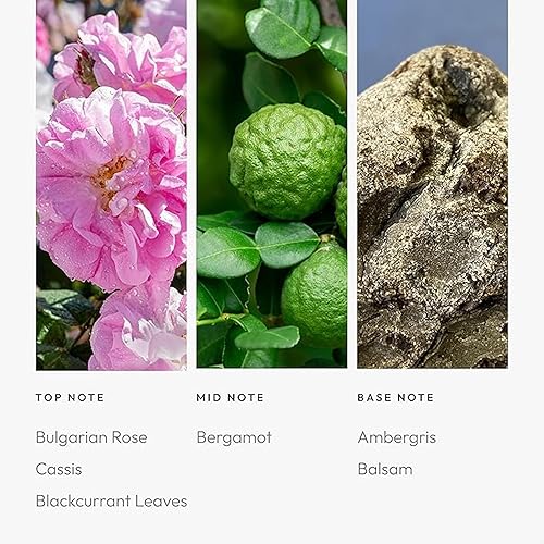 Miniatura 31 de Aroma360 Dream On - Mezcla de aceites aromáticos – 16.9 fl oz – Aceite difusor de aromaterapia perfumado con té blanco sereno, aloe vera curativo