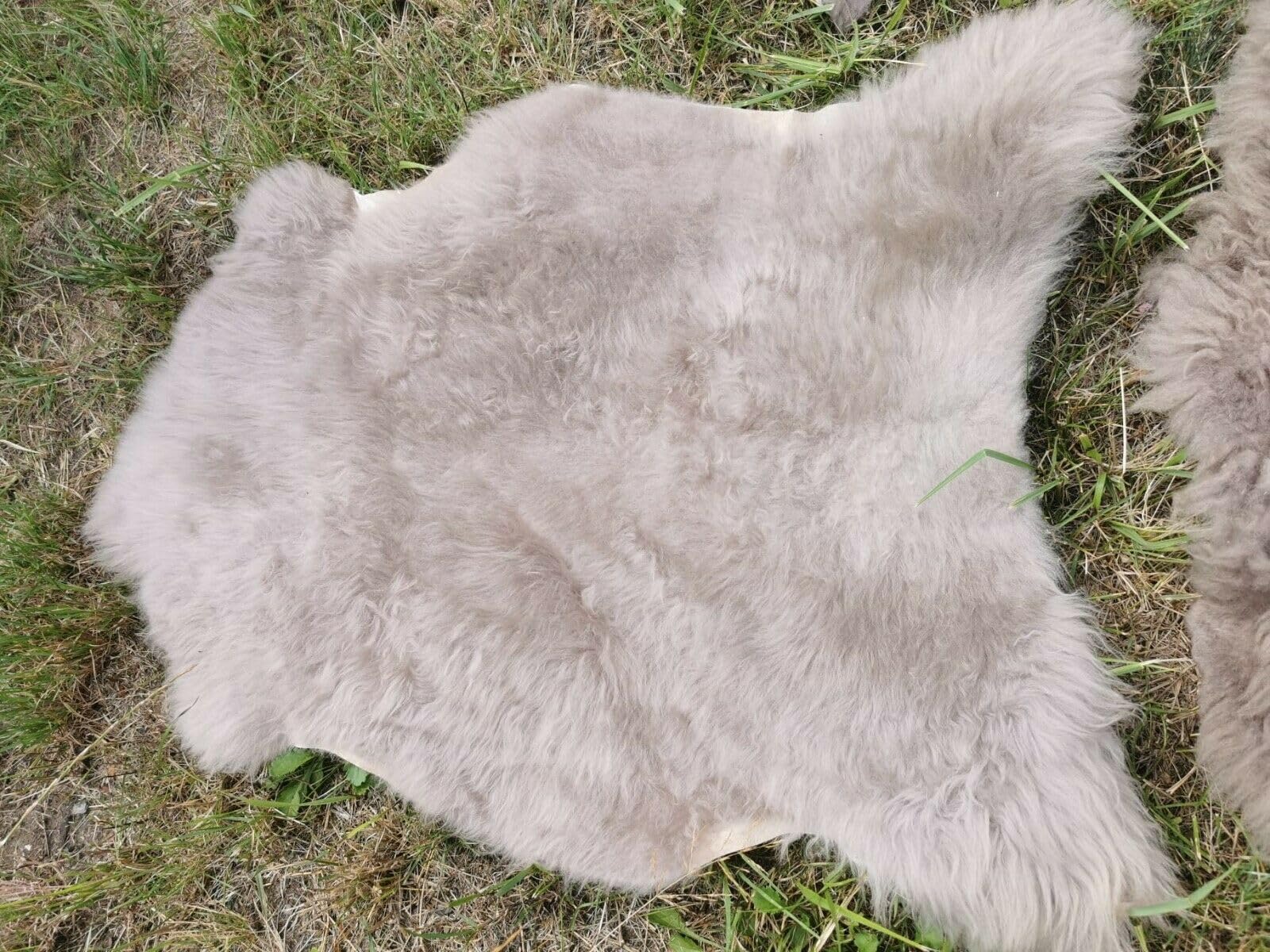 Echte Öko Schaffelle Lammfell Schaffell Fell Taupe Bis 140cm 2.Wahl Schnäppchen (eher lang (5cm - 15cm), 90-100cm lang)