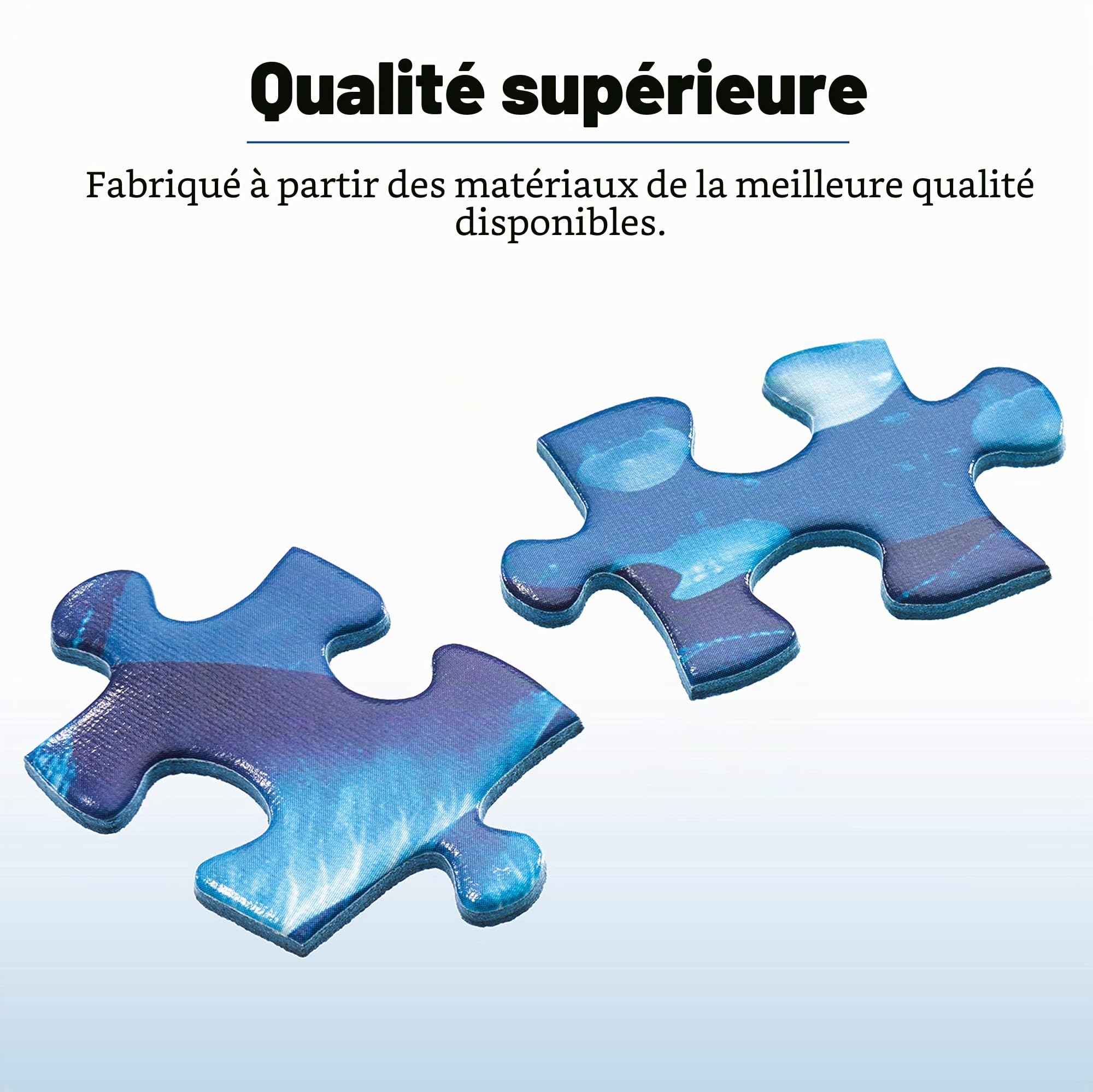 Ravensburger The Glass Slipper Puzzle 2000 pièces pour Adultes et Enfants 12 Ans