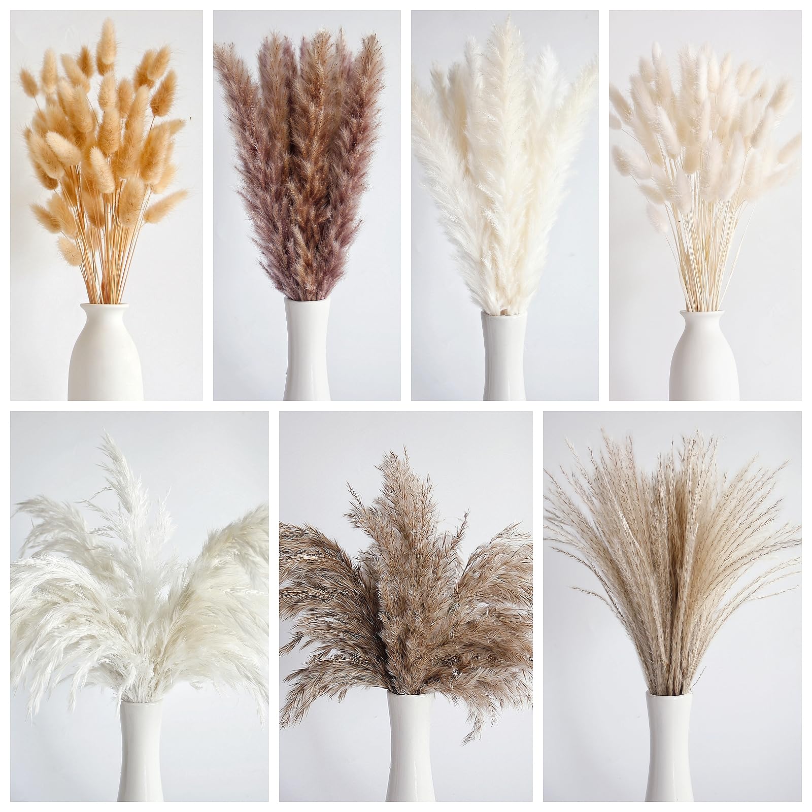 Bouquet di Erba di Pampas Secca 125 Pezzi, Fiori Secchi di Coda di Coniglio, Decorazione Boho per Matrimoni e Casa