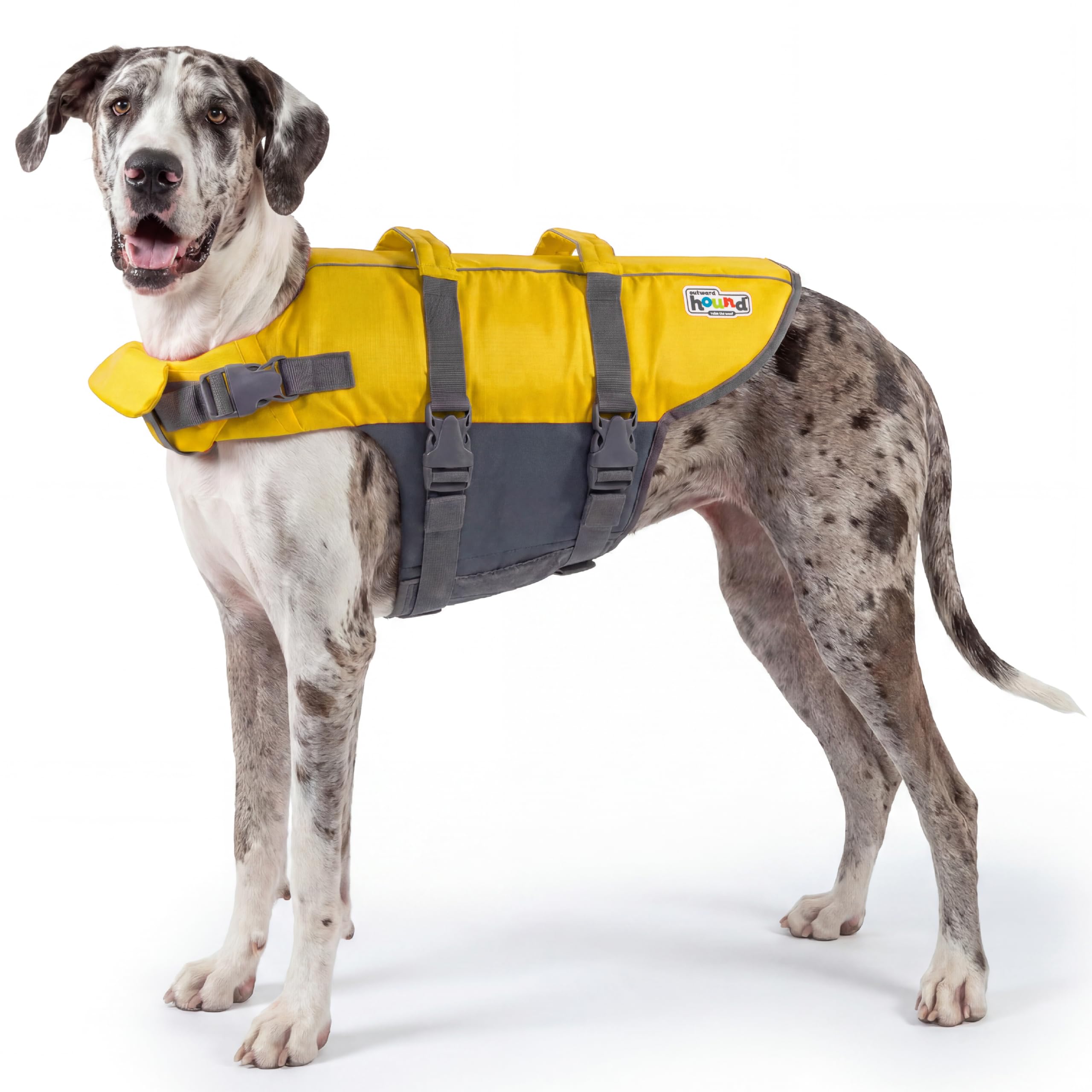 Outward Hound Granby Splash Dog Life Jacket, Yellow, XL
