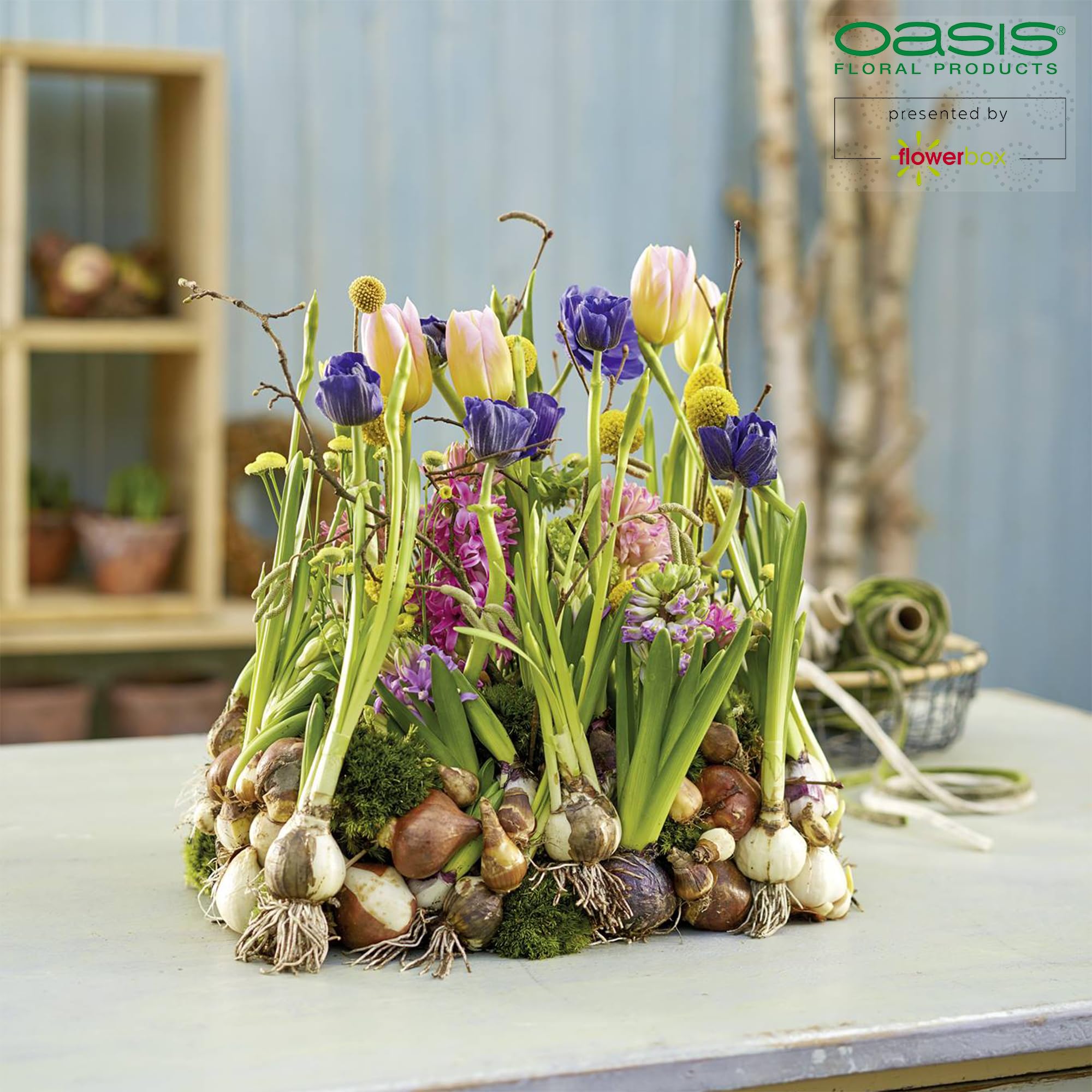 OASIS® IDEAL Anello universale in schiuma floreale verde 27,5 cm 3 pz