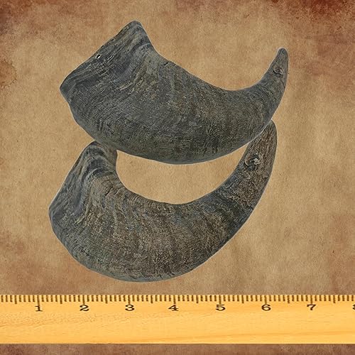 Miniatura 3 de WhiteTail Naturals - Cuernos de búfalo de agua para perros (paquete de 2 grandes) Hueso de perro de cuerno de búfalo totalmente natural - Juguete