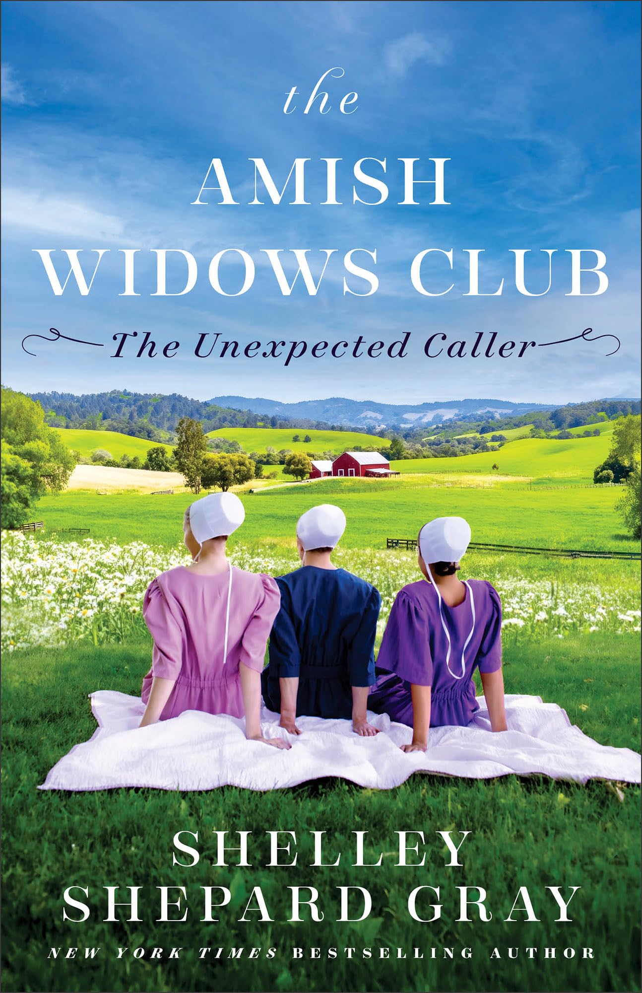The Unexpected Caller: 1 (The Amish Widows Club)