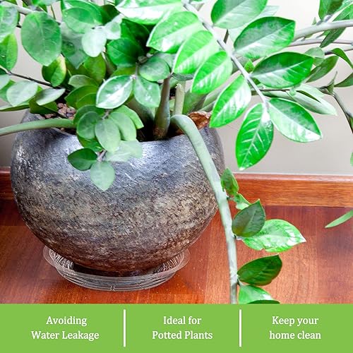 Miniatura 6 de Shellwei Paquete de 18 platillos de plástico de 16 pulgadas, bandejas de goteo extra grandes para macetas transparentes, bandeja de goteo para