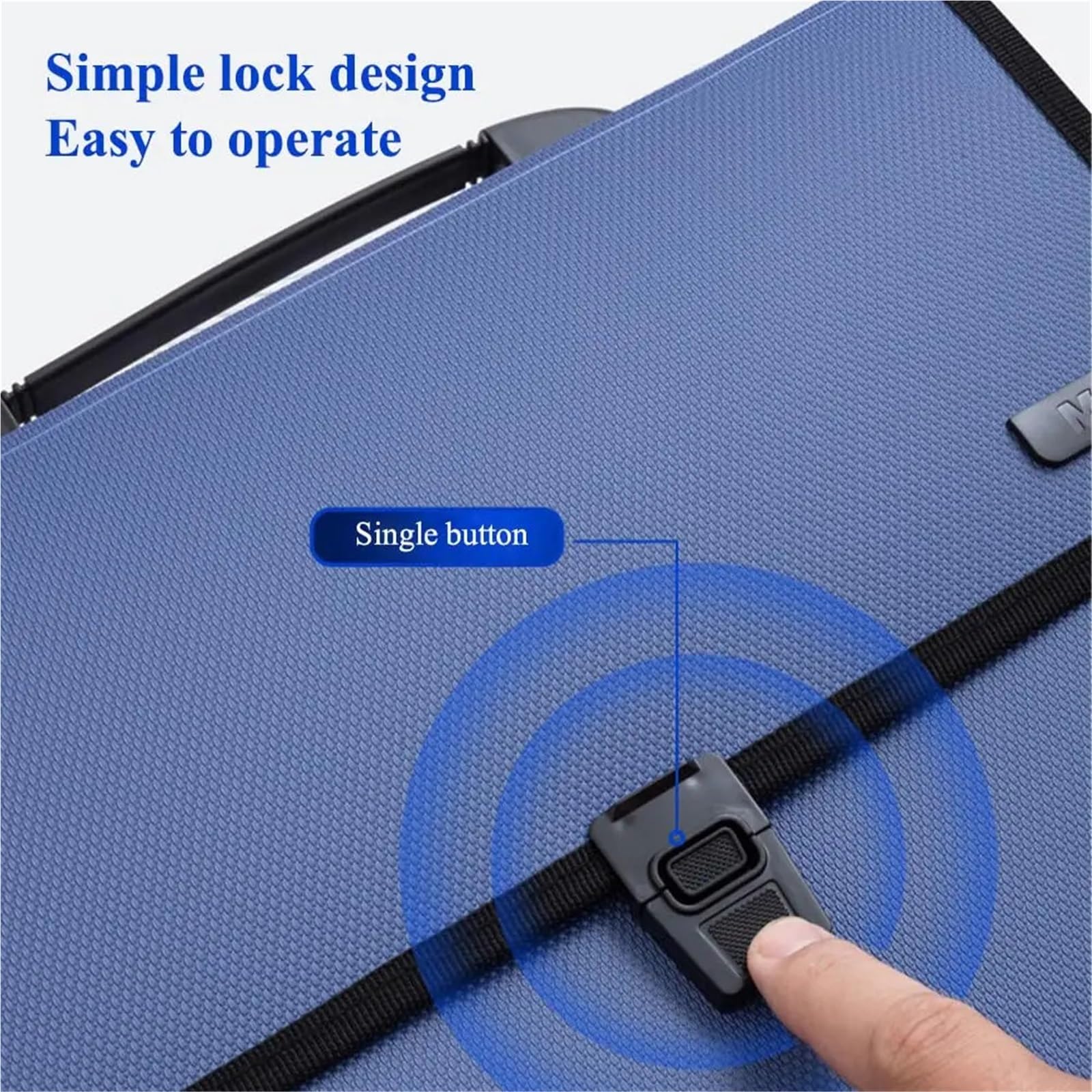 Cartella di file espandibile da 2 pezzi 12 tasche Organizzatore a fisarmonica con etichette, organizzatore portatile ricevute documenti for formato lettera A4